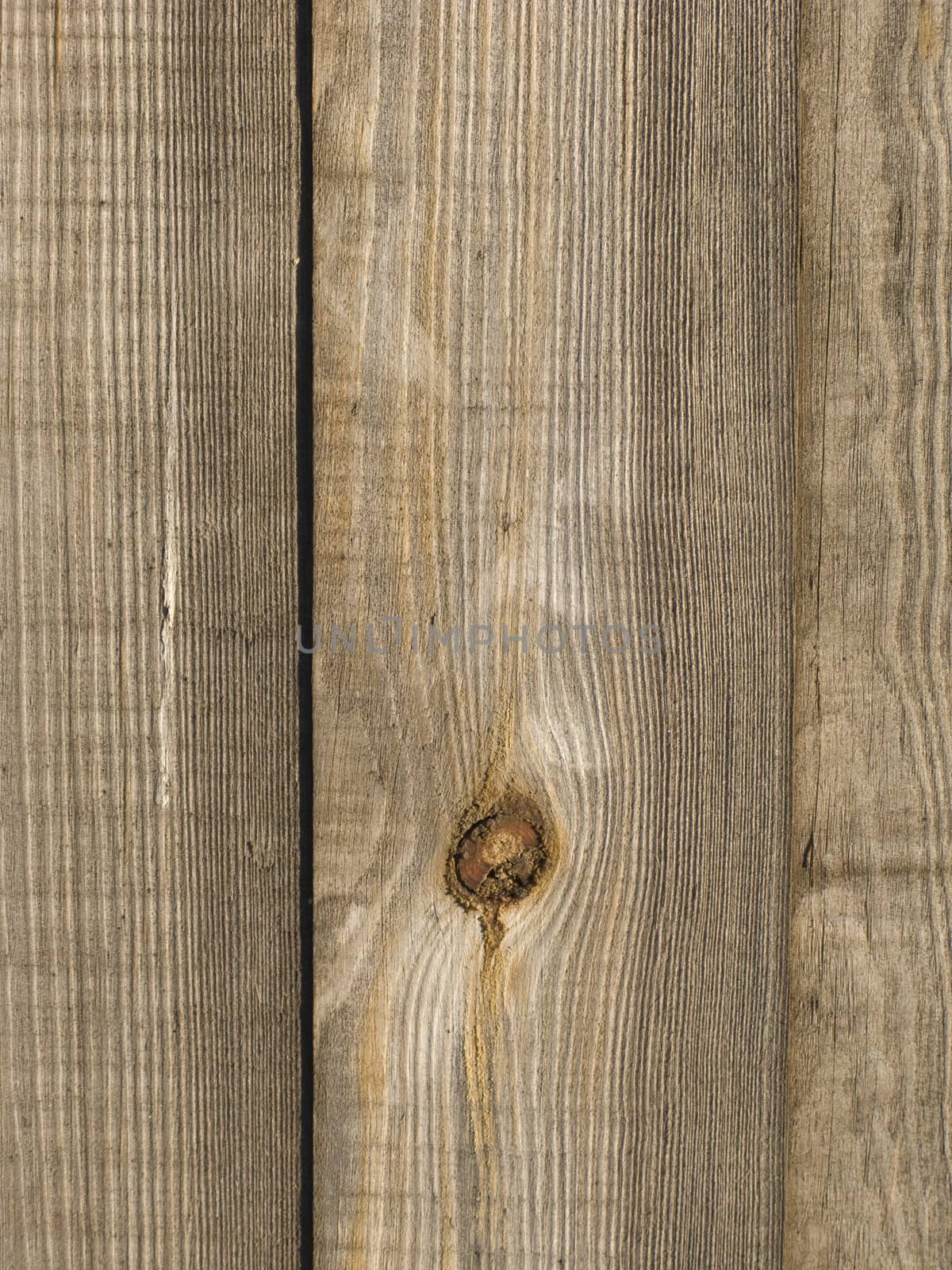 Knotted wooden board background by wander