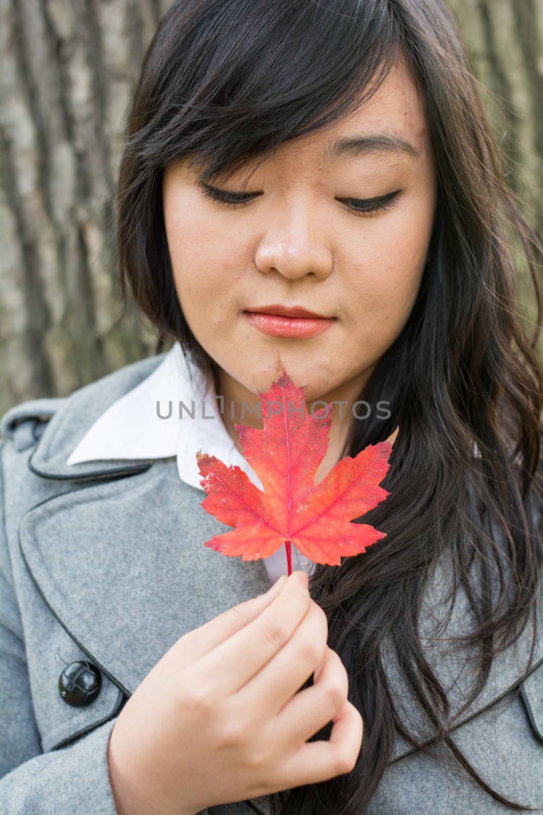 Autumn portrait of cute young woman in front of a maple tree holding a maple leaf with eyes closed