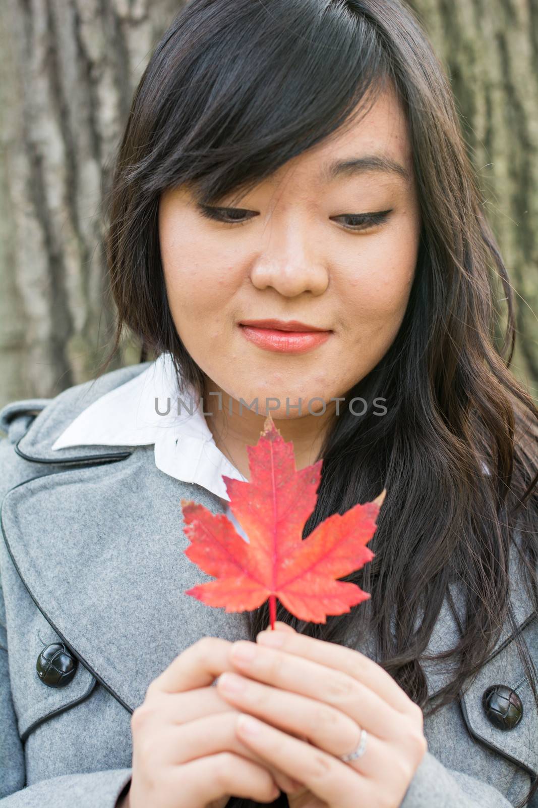 Autumn portrait of cute young woman in front of a maple tree holding a maple leaf with eyes closed