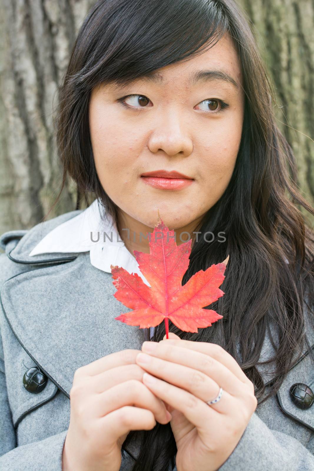 Portrait of girl during autumn by IVYPHOTOS