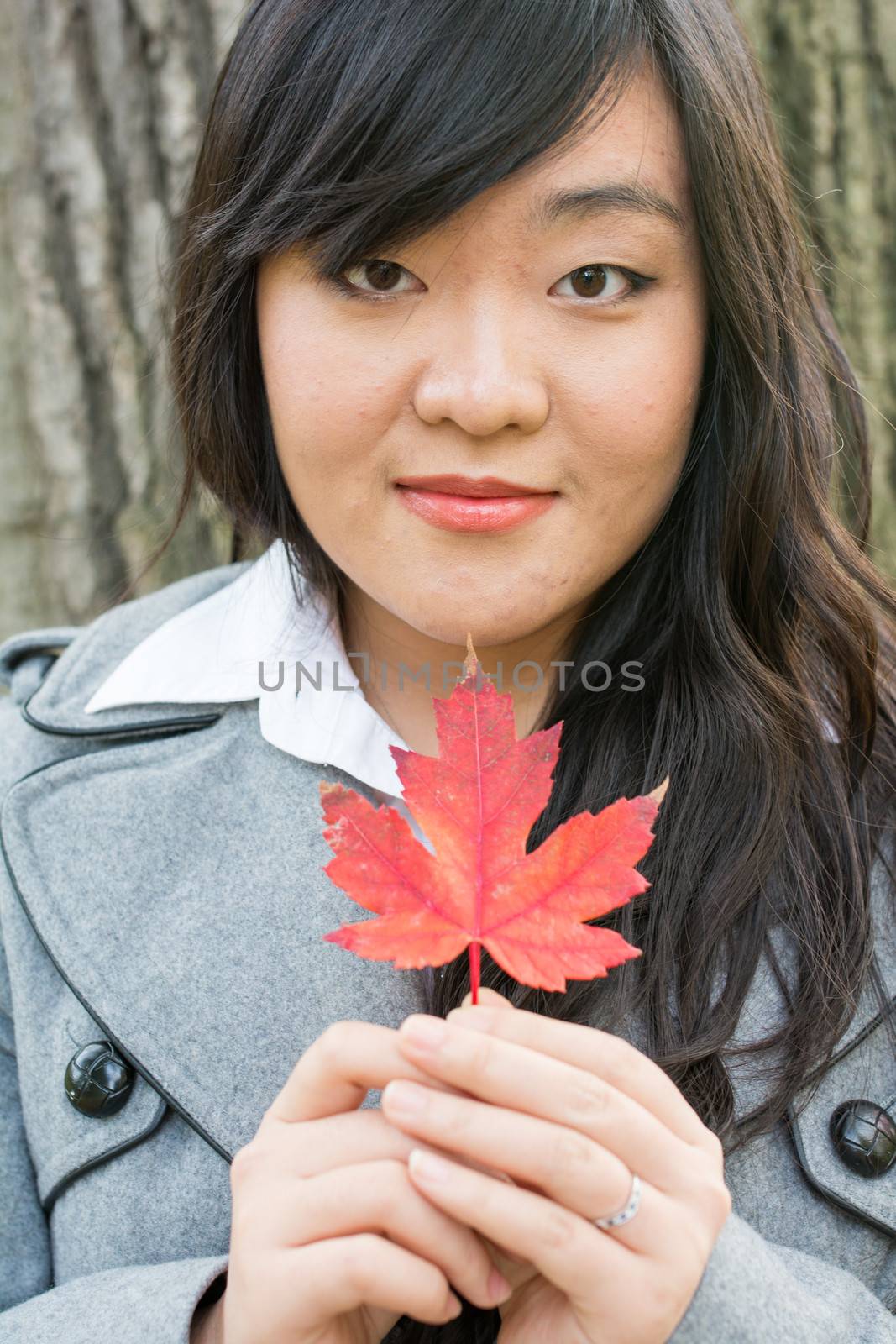 Autumn portrait of cute young woman in front of a maple tree holding a maple leaf