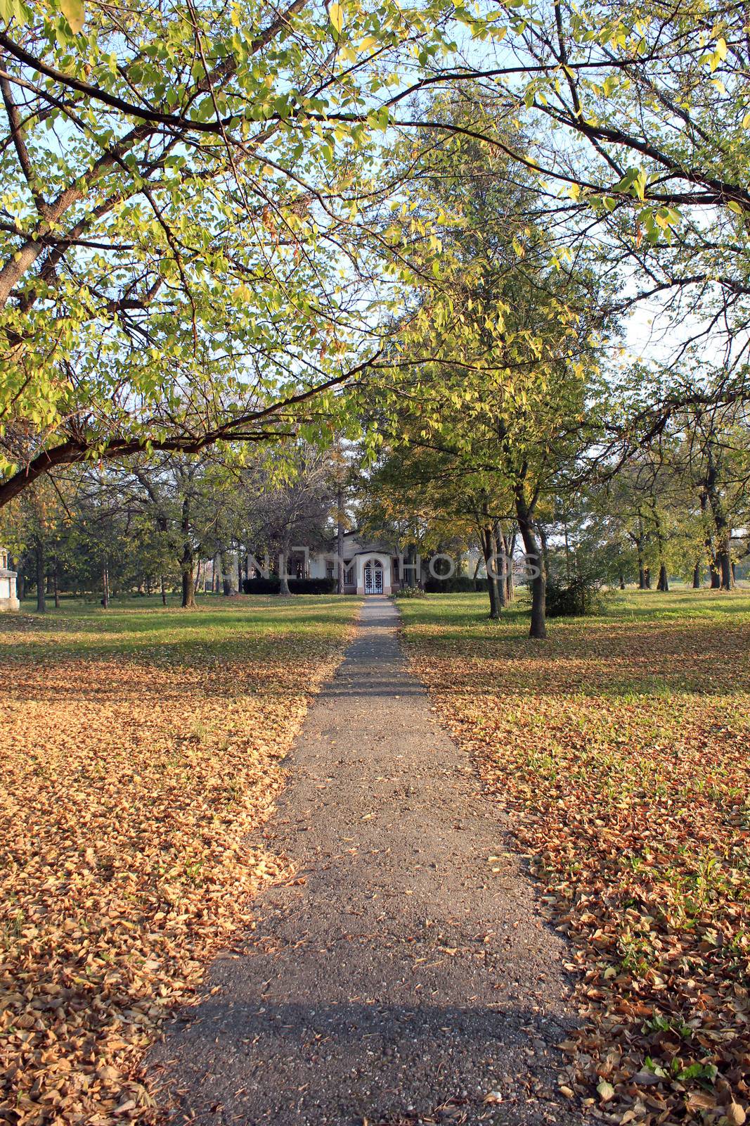 house with path in autumn park by goce