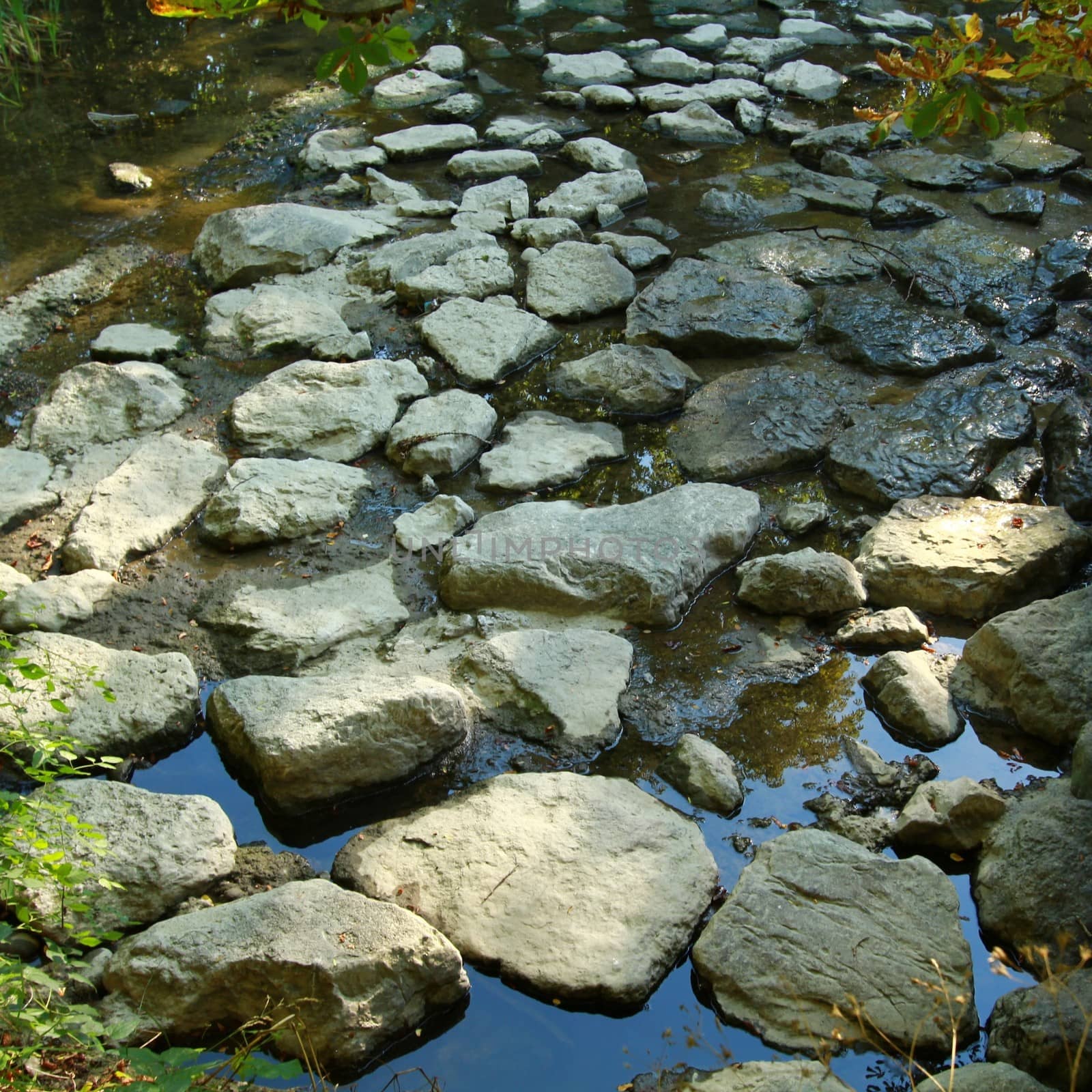 riverbed with rocks