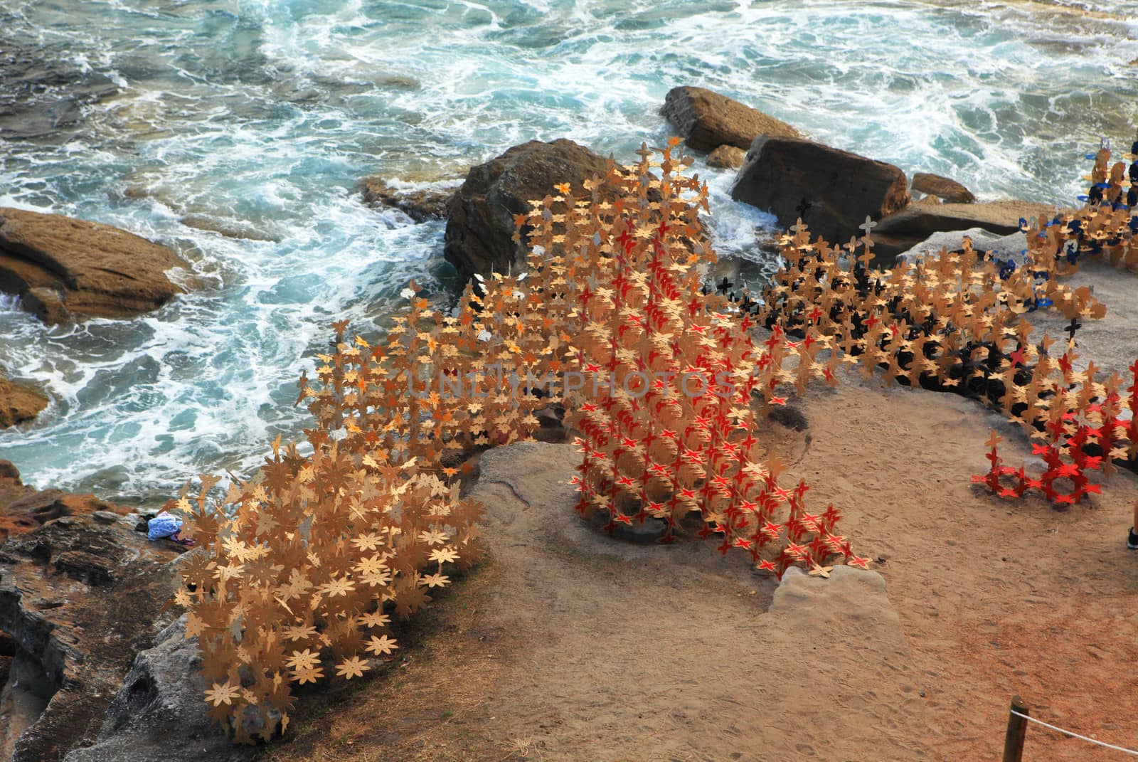 Sculpture by the Sea exhibit at Bondi, Australia by lovleah