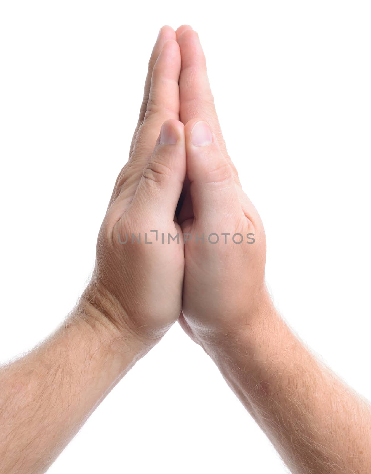 isolated hands together praying