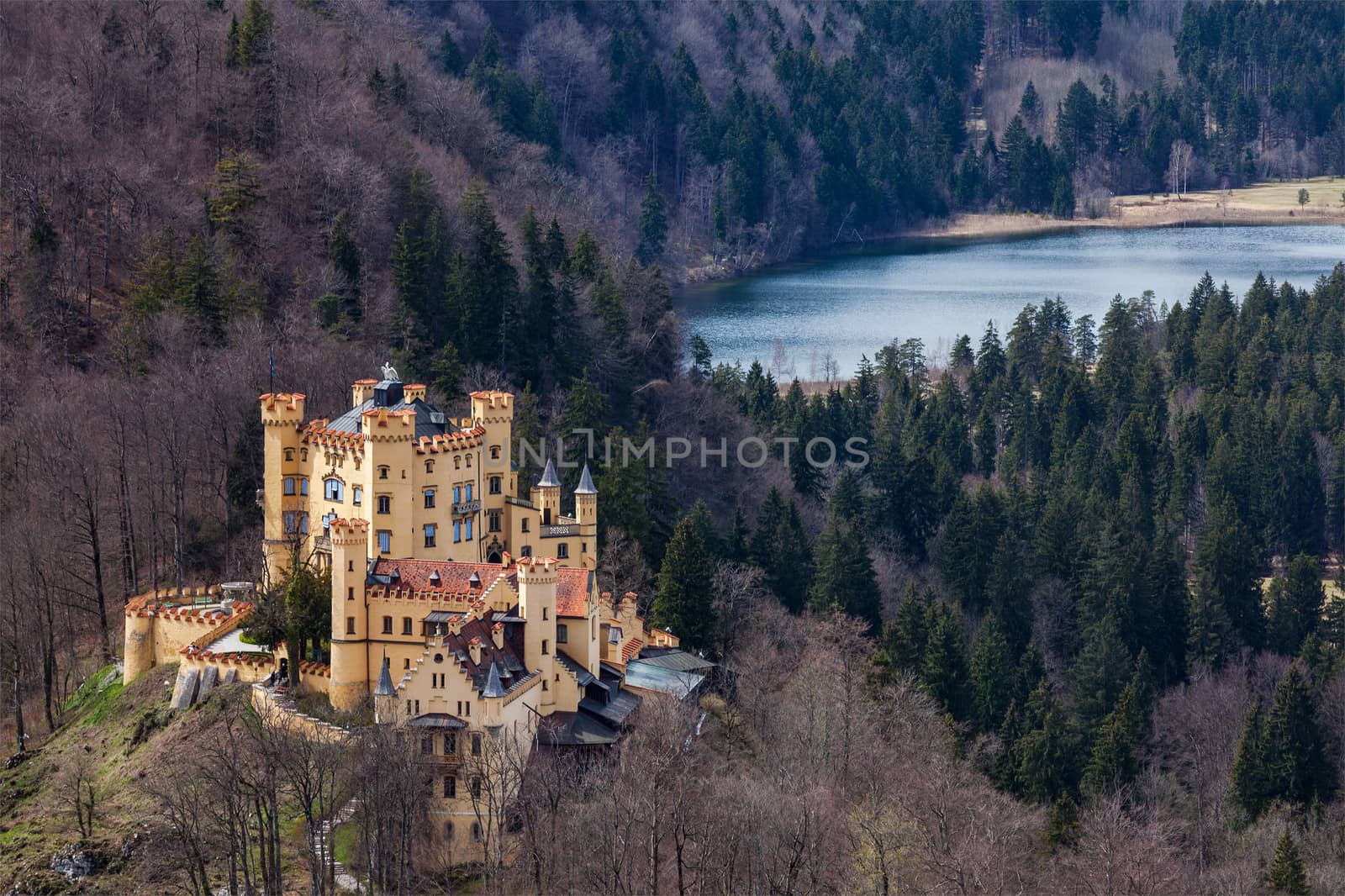 Hohenschwangau Castle, Germany by dimol