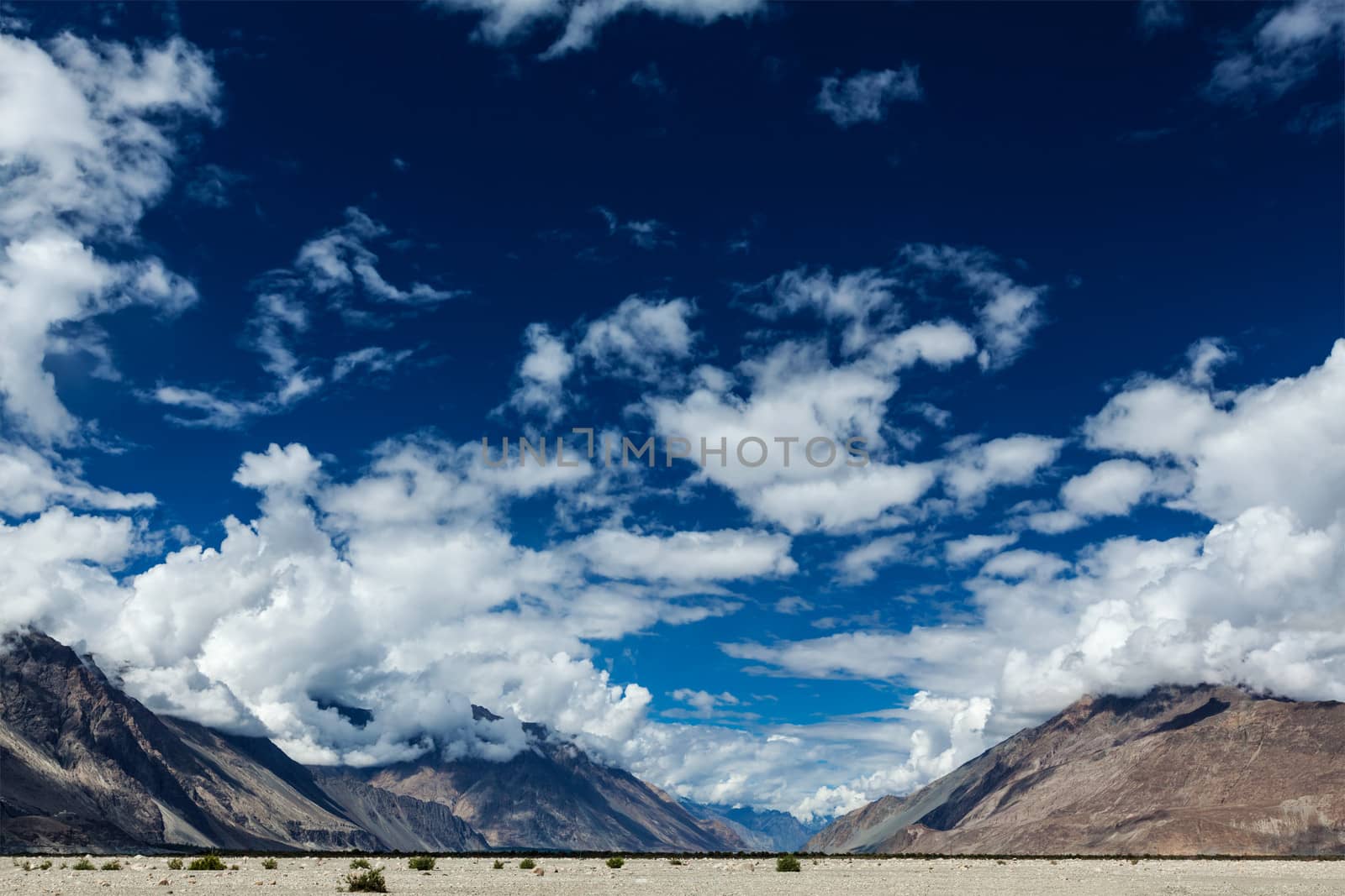 Nubra valley in Himalayas. Ladakh, India by dimol