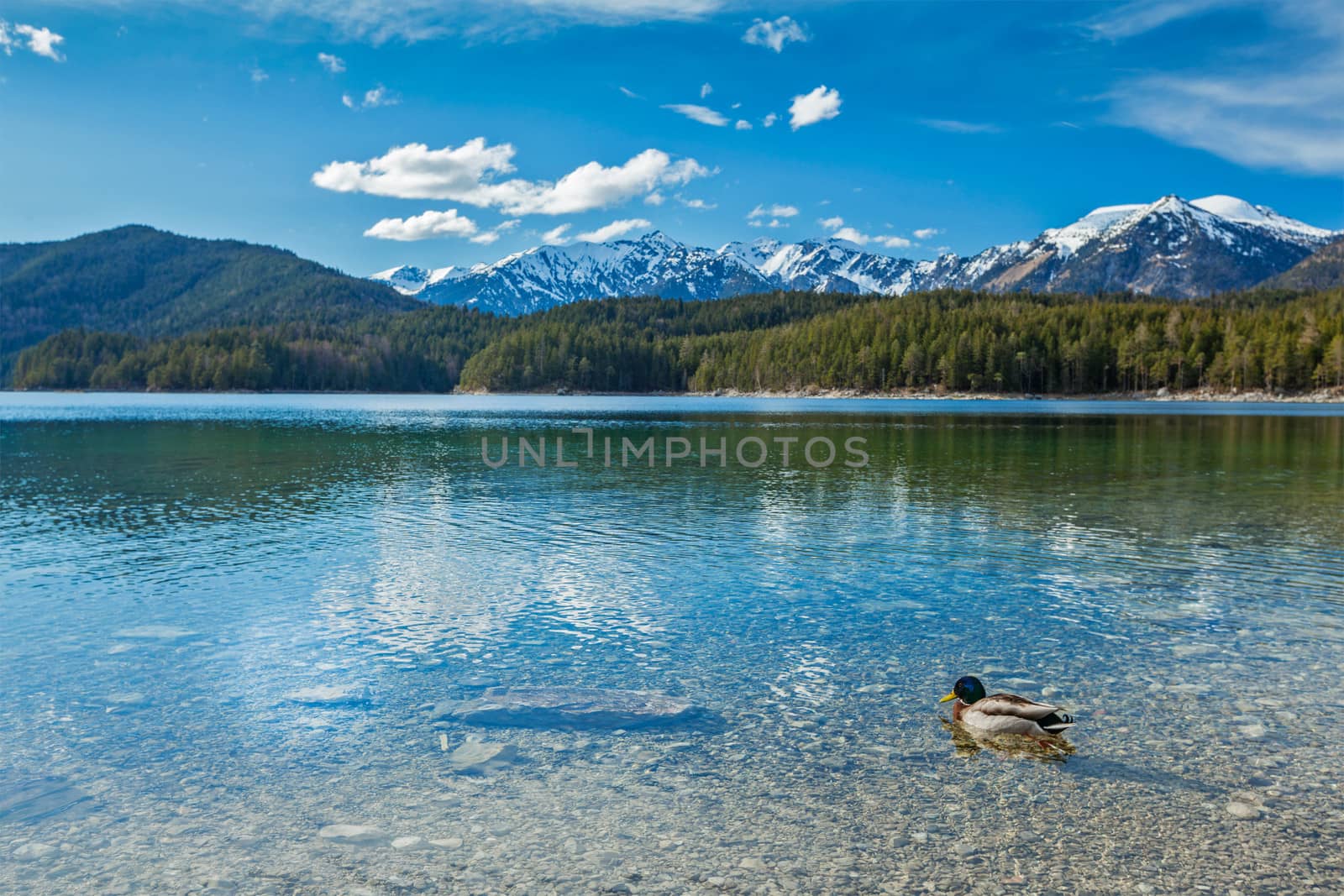 Eibsee lake, Germany by dimol