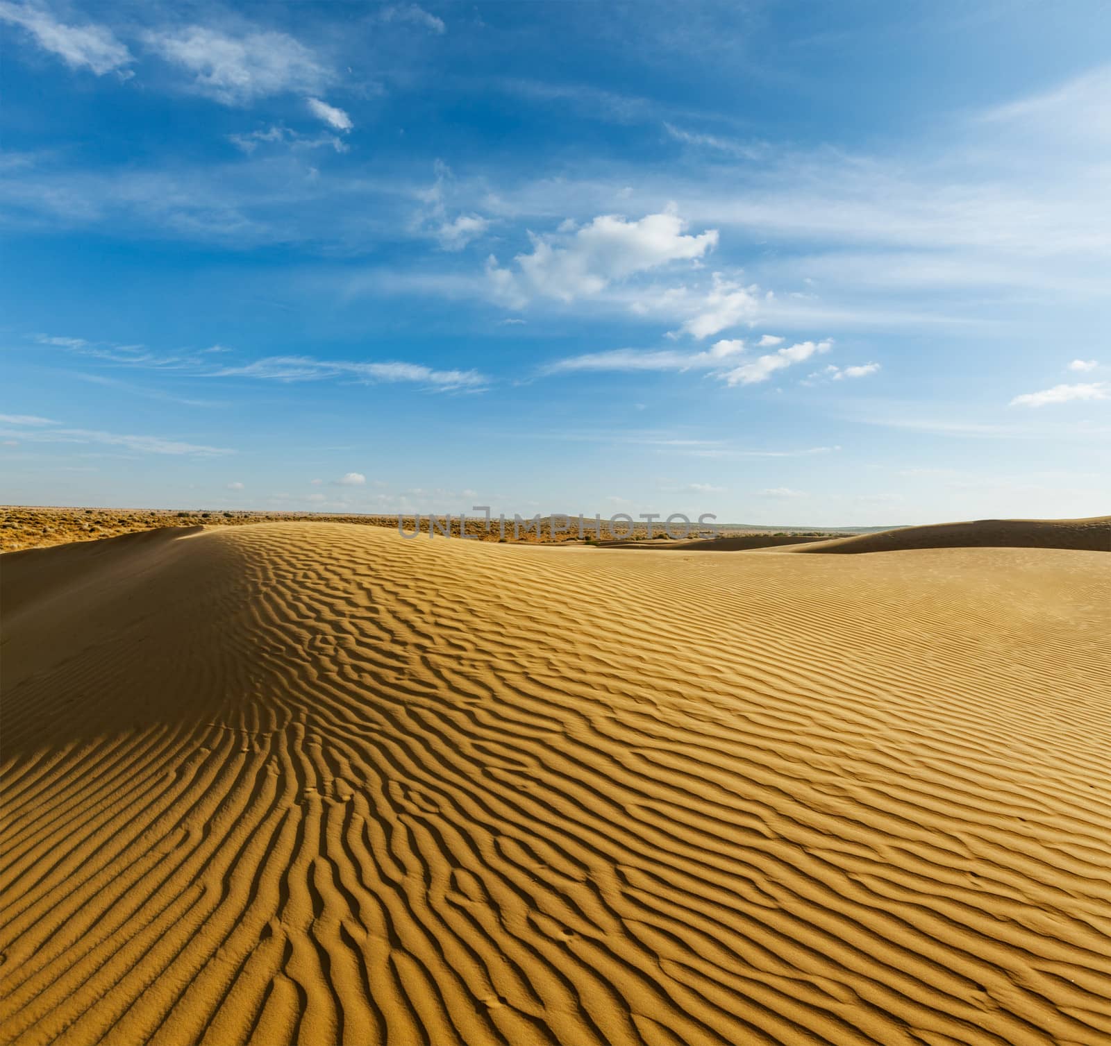 Dunes of Thar Desert. Sam Sand dunes, Rajasthan, India