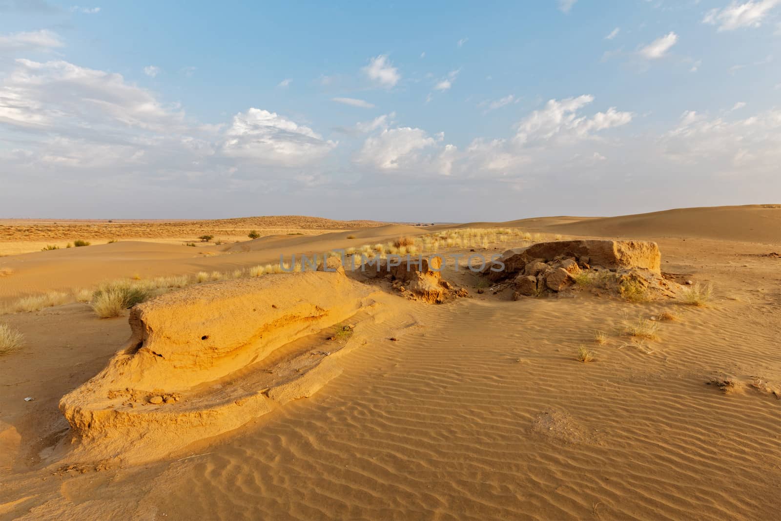 Dunes of Thar Desert. Sam Sand dunes, Rajasthan, India