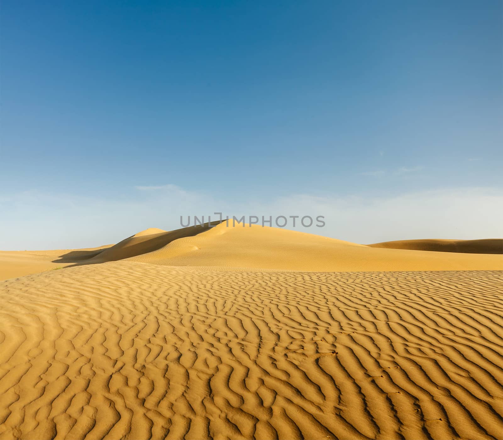 Dunes of Thar Desert. Sam Sand dunes, Rajasthan, India