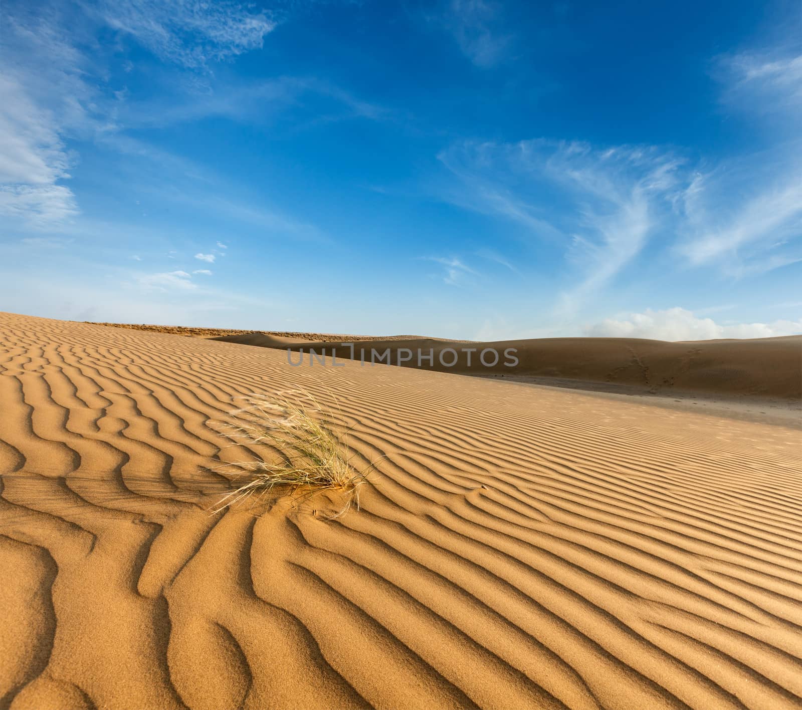 Dunes of Thar Desert, Rajasthan, India by dimol