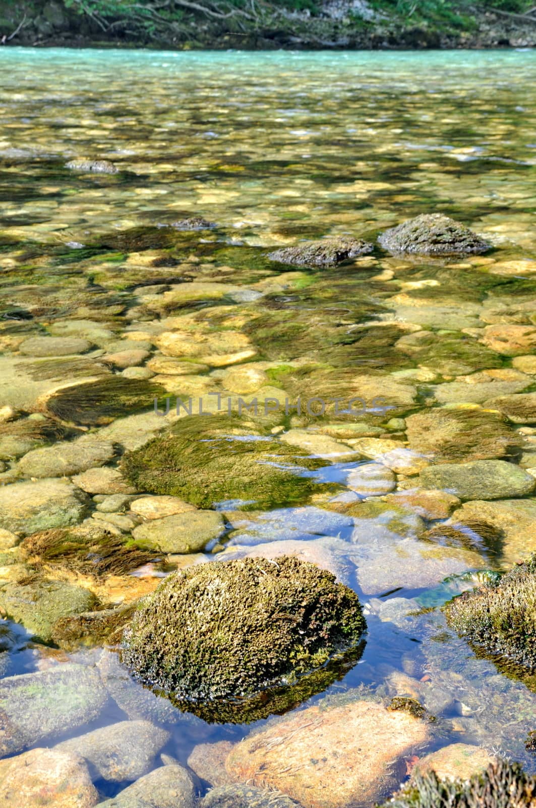 Green stones in water