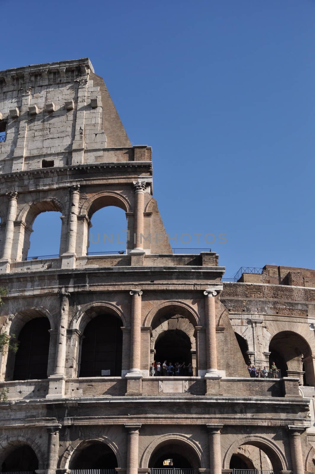 Colosseum of Rome, Italy by anderm
