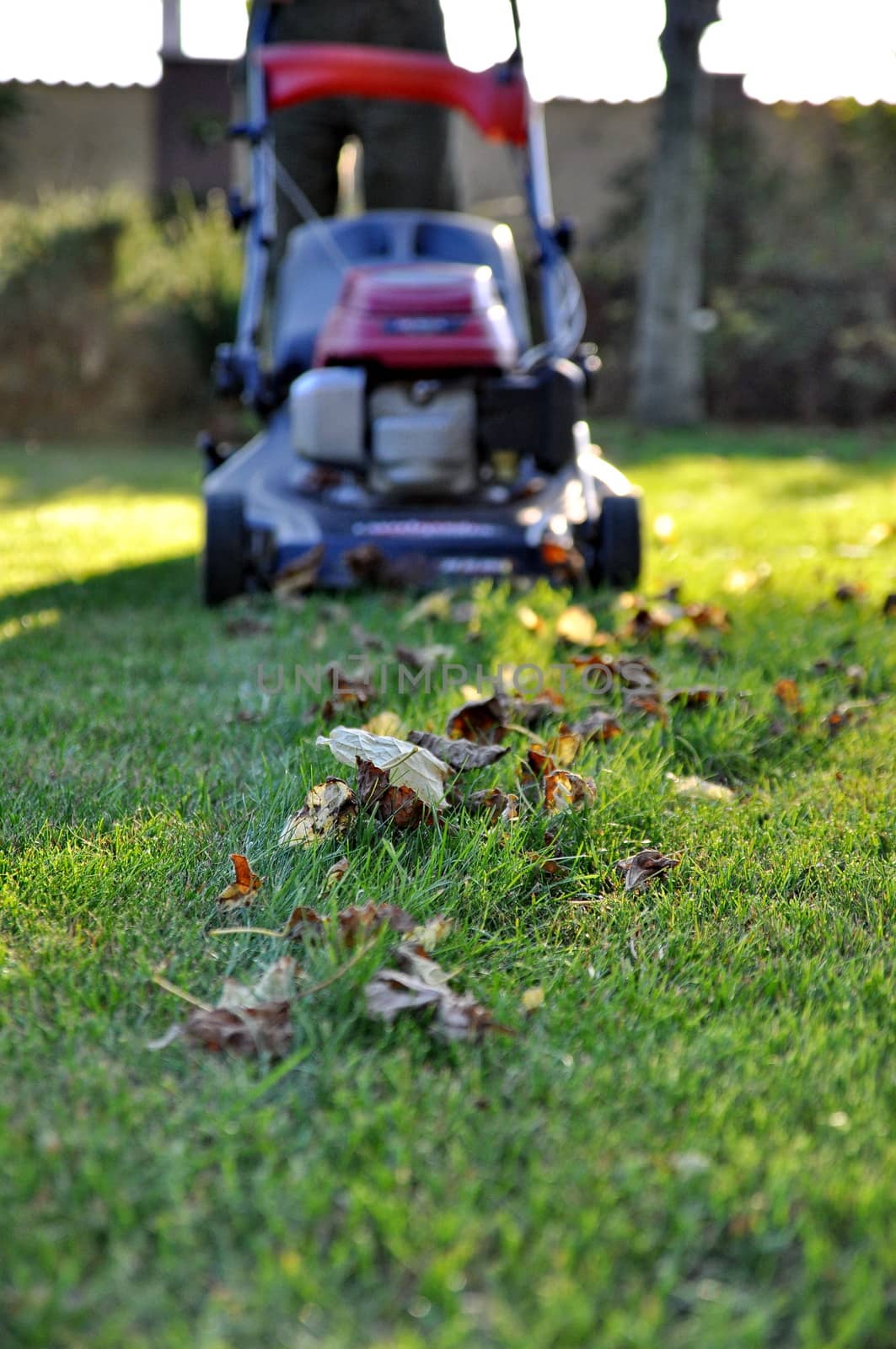 Lawnmower at autumn by anderm