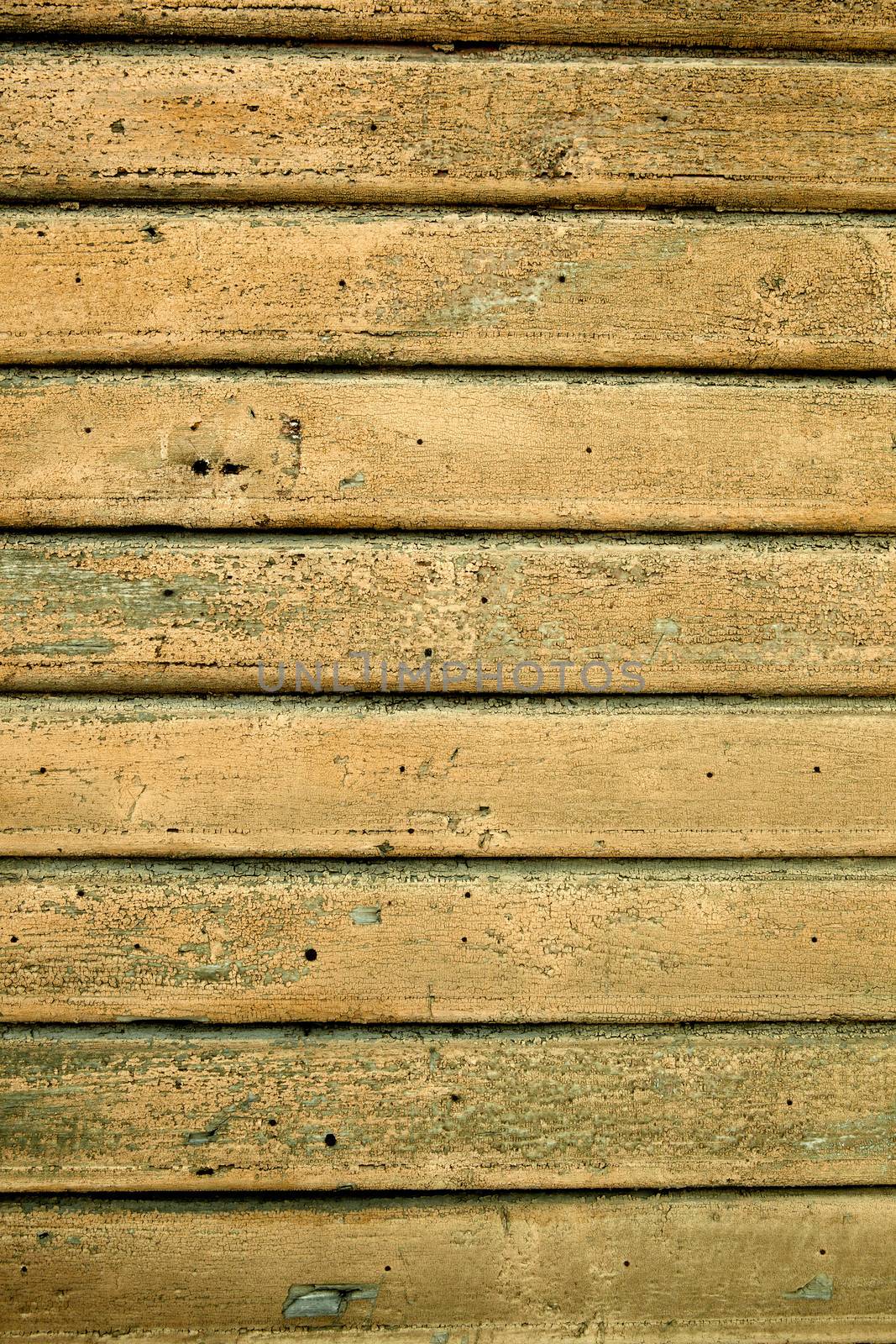 Background picture made of old yellow wood boards