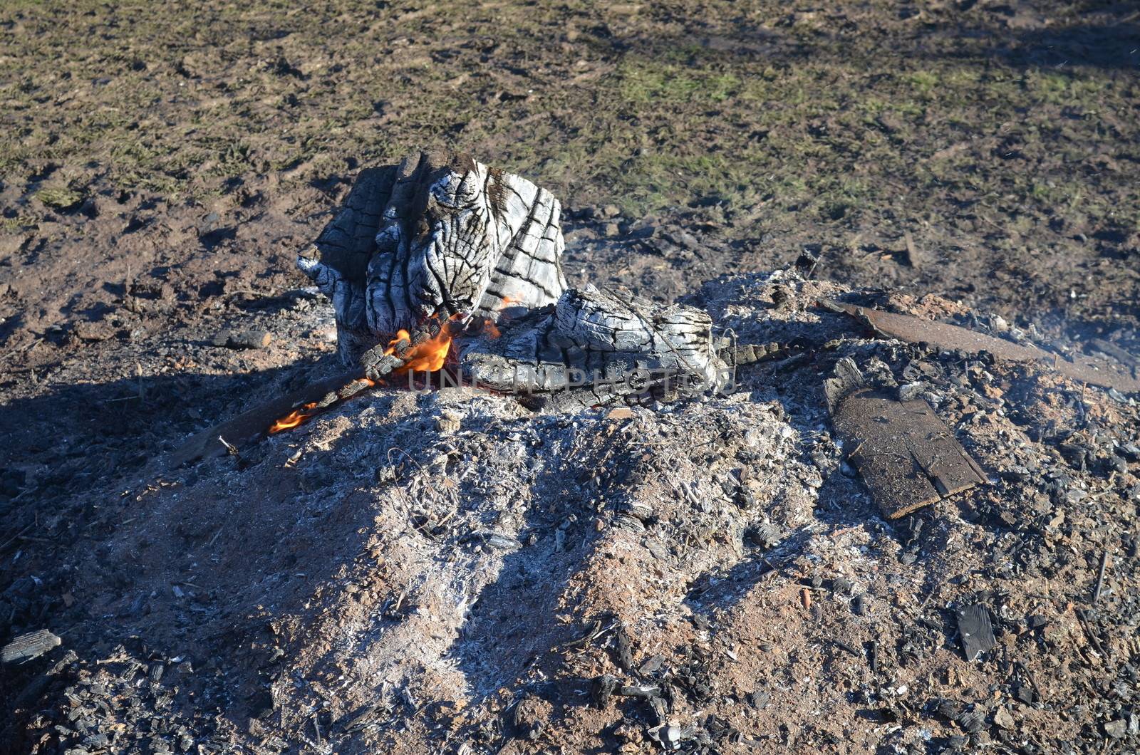 A campfire with ash and embers the morning after.