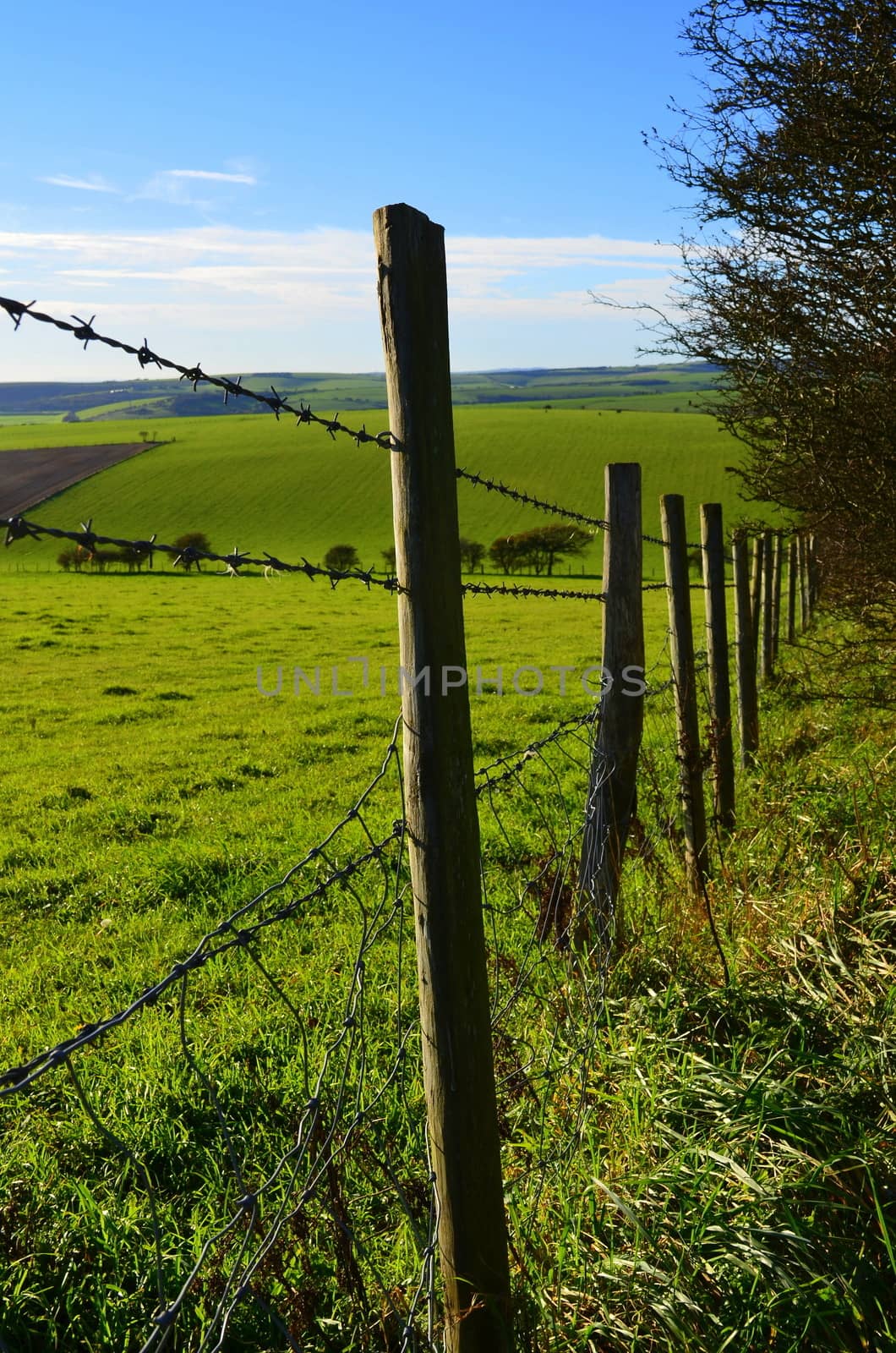 Barbed wire fencing running along pasture fields on the South Downs,Sussex,England.Image taken in November 2013.