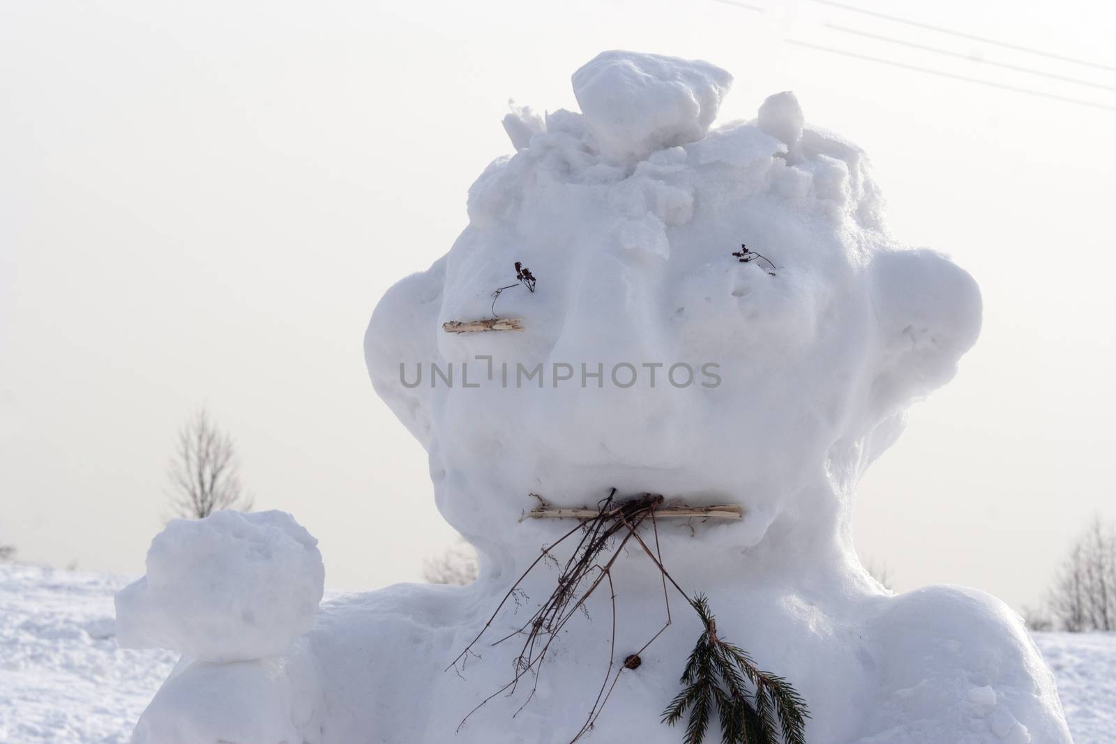 Shot of the snow man - head