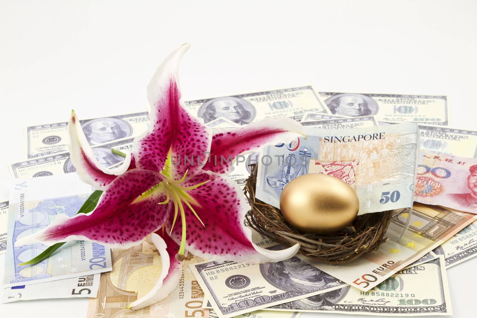 Worldwide currencies placed with Asian lily and nest with gold egg and Singapore currency surrounded by money from United States, China, and Europe depict a global, connected finance system.