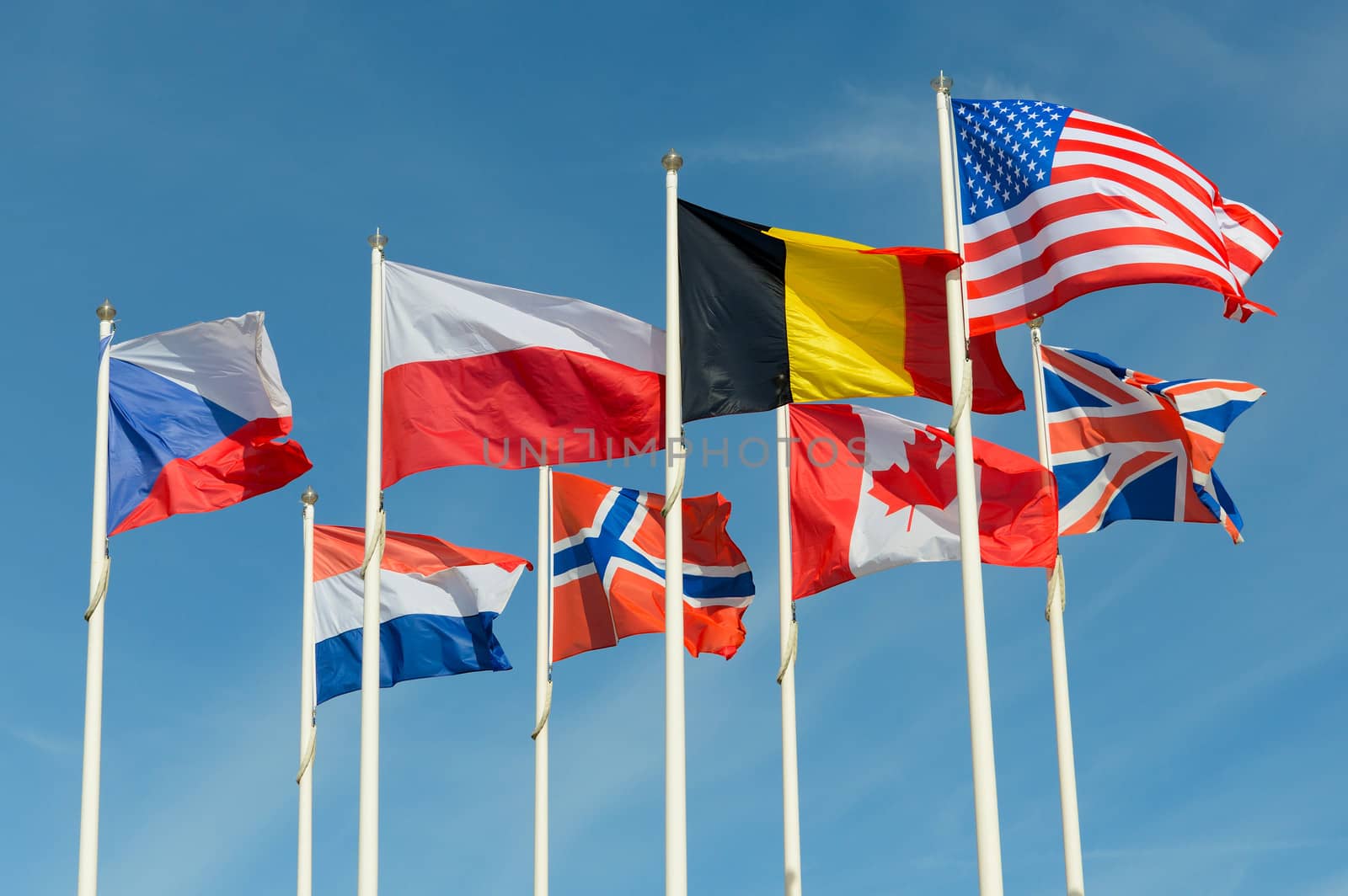 group of united flags on a blue sky background