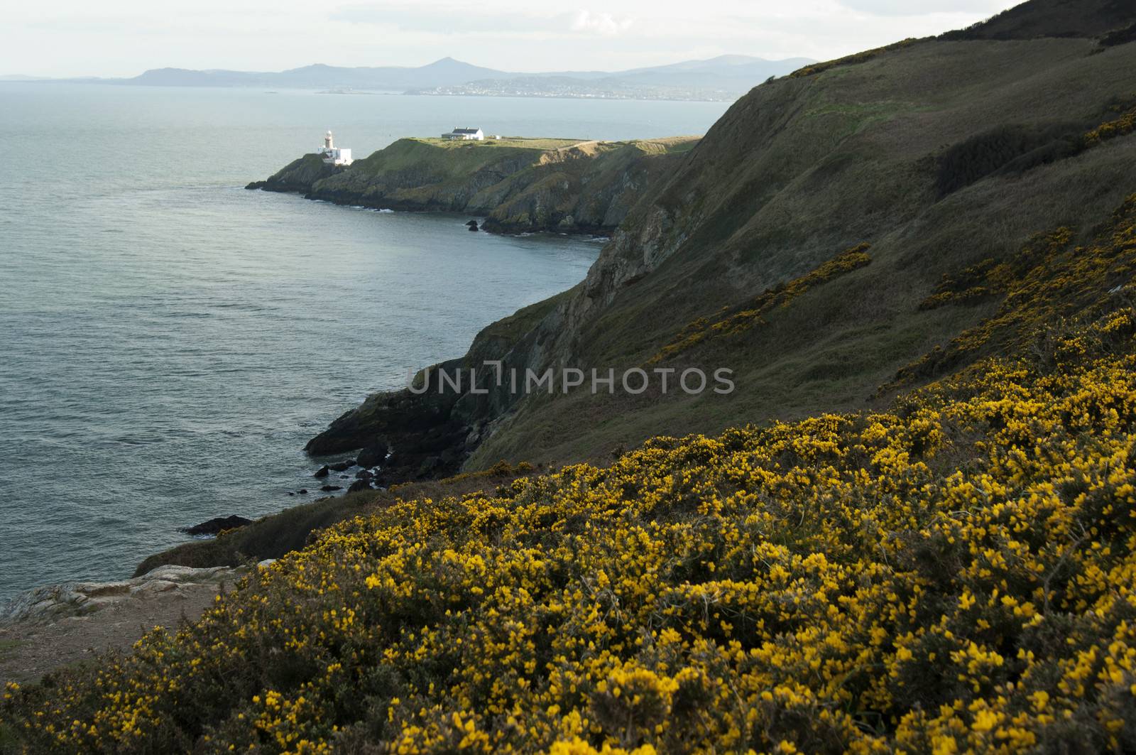 Howth in a Sunny Day, Ireland by rodrigobellizzi