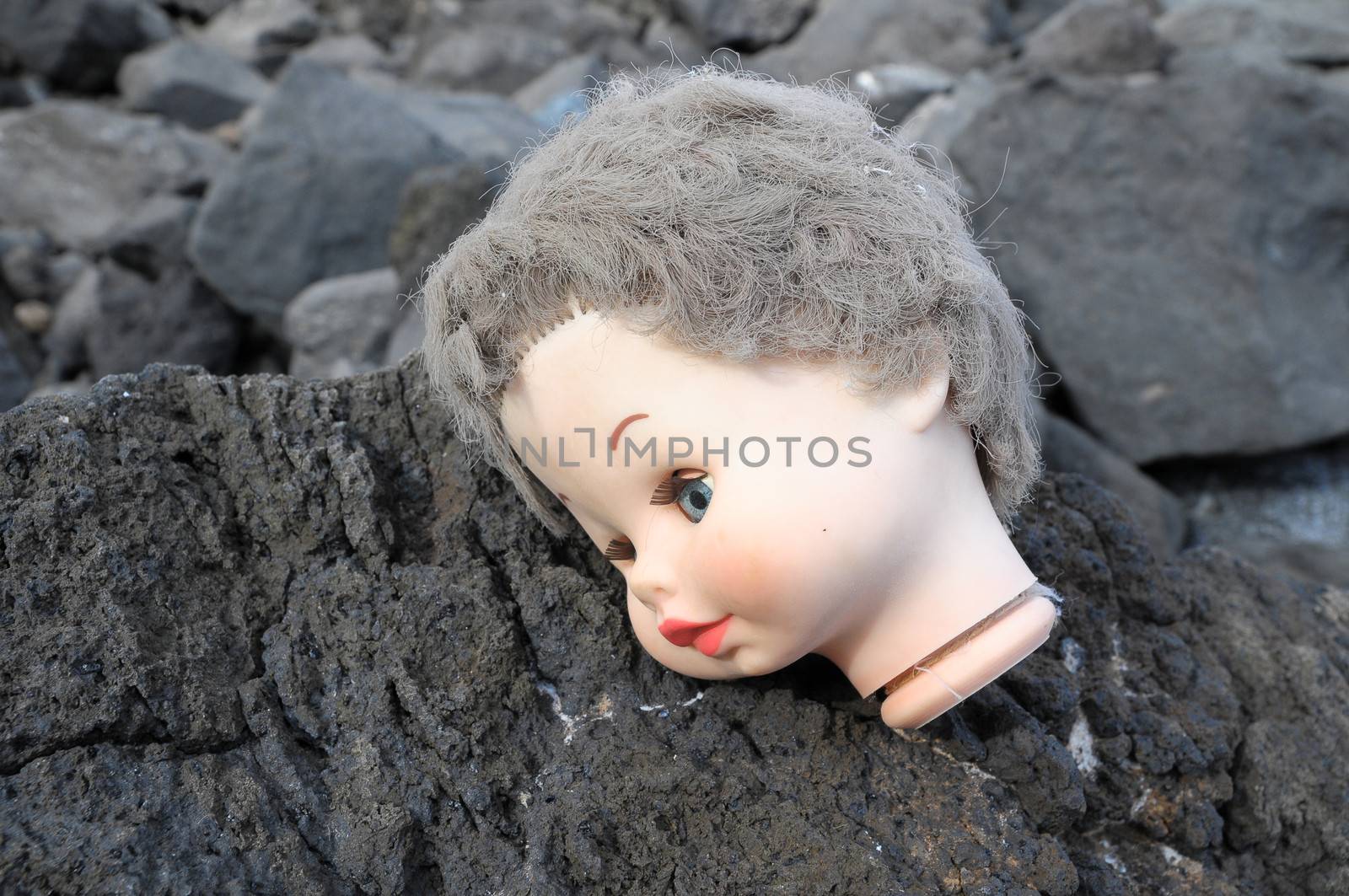 One Ancient Dool's Head Abandoned on the Rocks