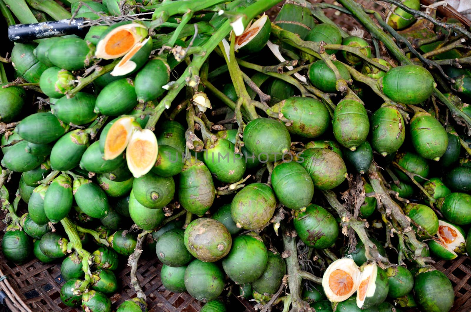 Betel palm nut fruit is in the market