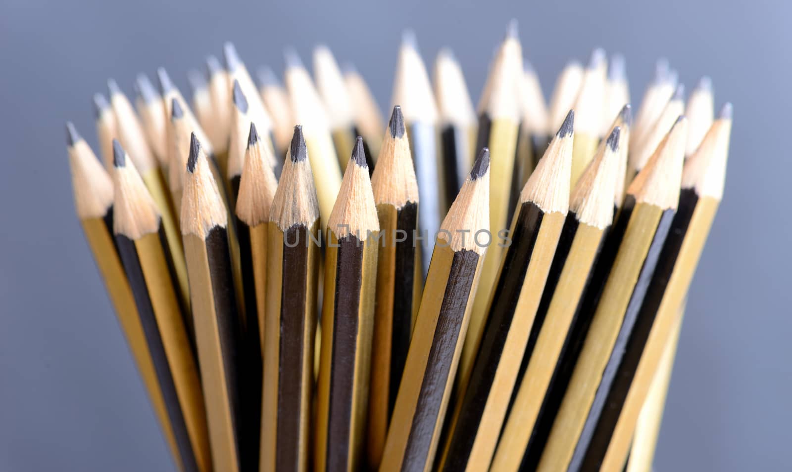 a bunch of pencils ready for work on grey background