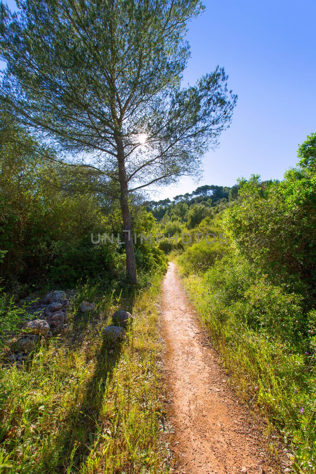 Menorca mediterranean track in es Mitjorn Gran by lunamarina