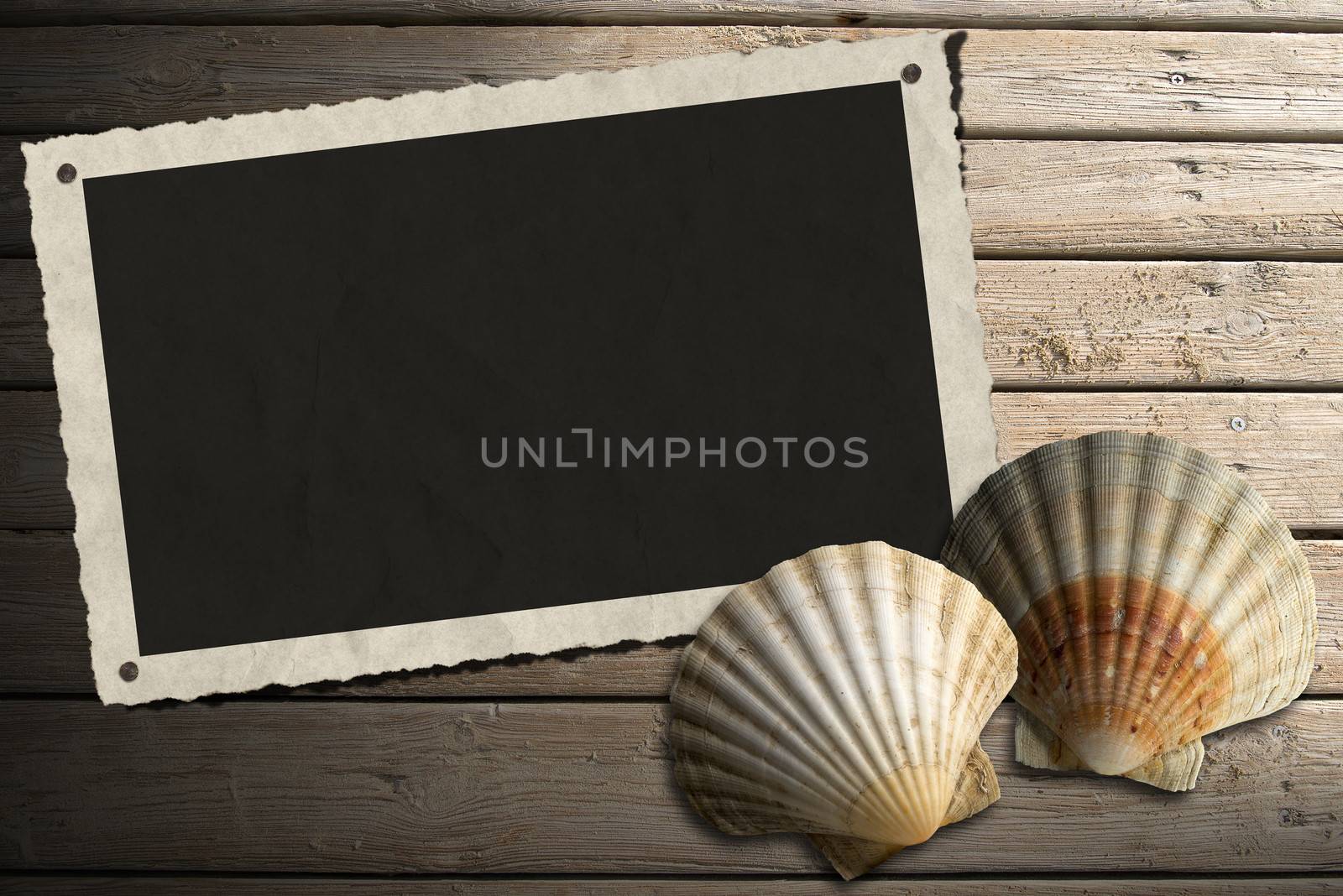 Aged photo frame with two sea shells on beach wooden floor over summer sand