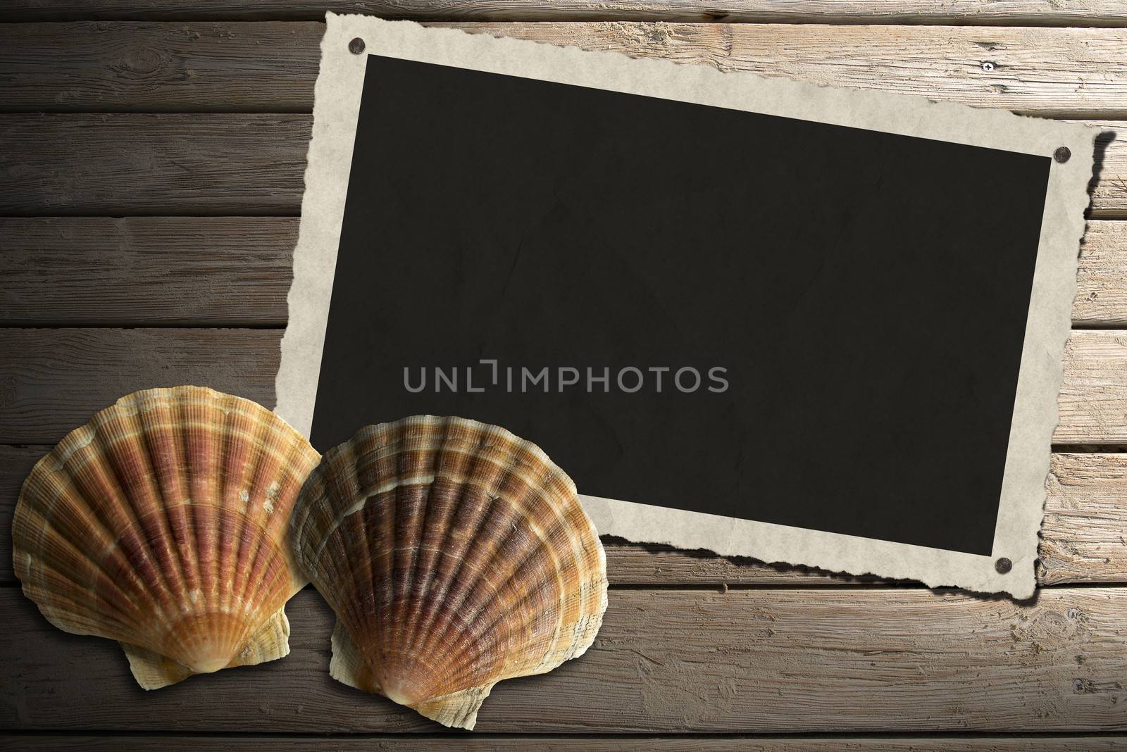 Aged photo frame with two sea shells on beach wooden floor over summer sand