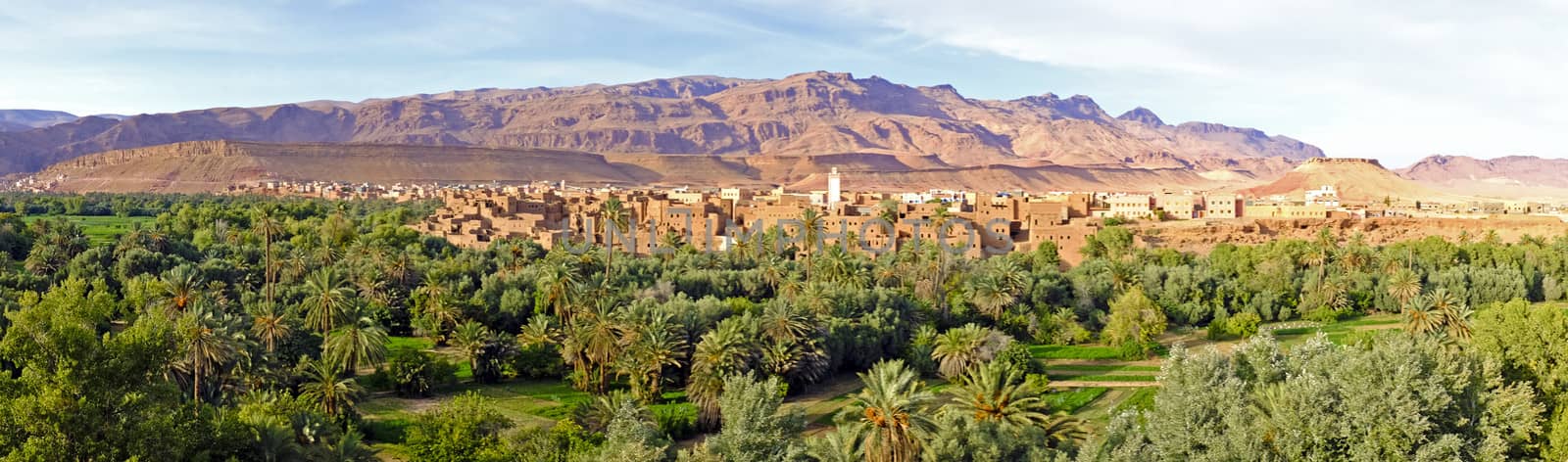 Oasis in the dade valley in Morocco Africa by devy