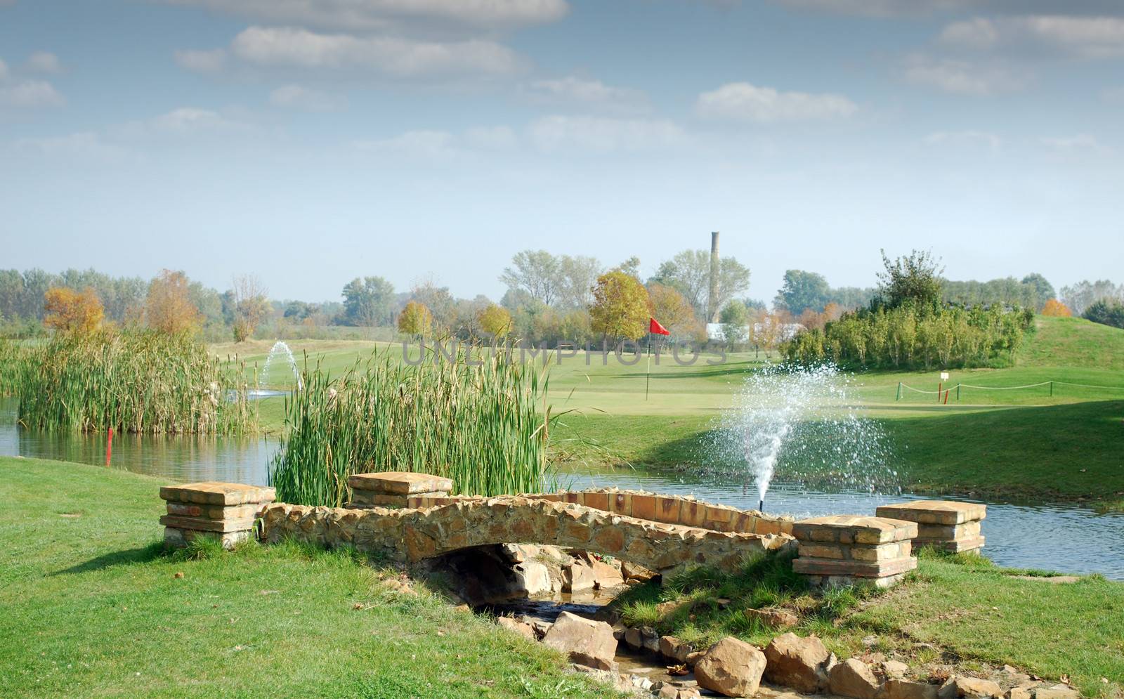 golf course with little stone bridge by goce