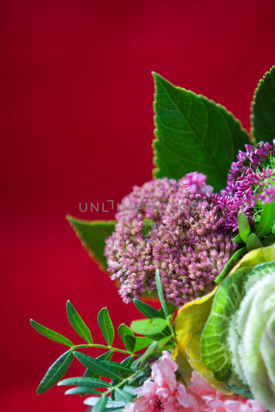 Festive flower arrangement with pink flowers and large green leaves with shallow dof against a deep red background with copyspace