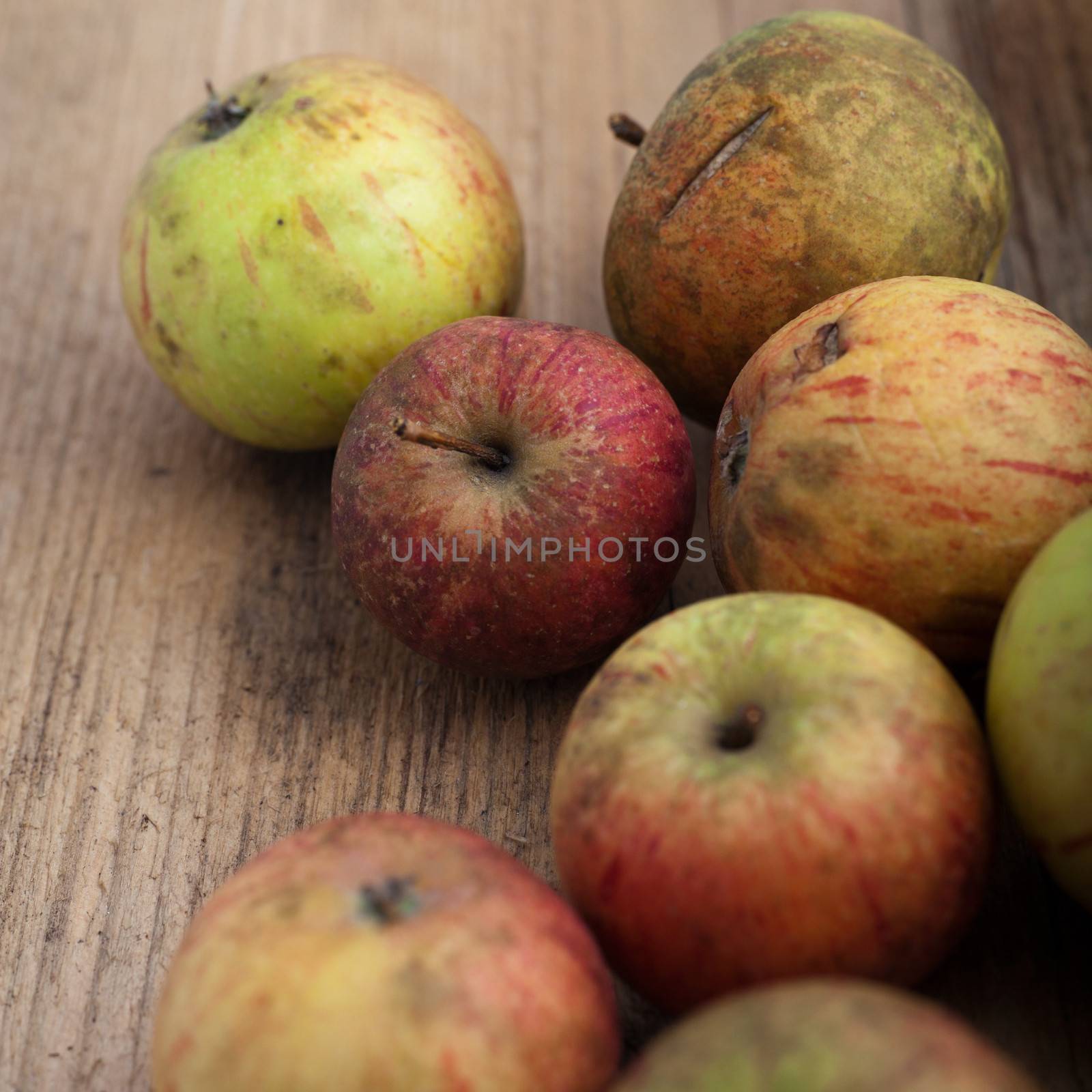 High angle view of a harvest of fresh red apples on a wooden background with focus to a single apple