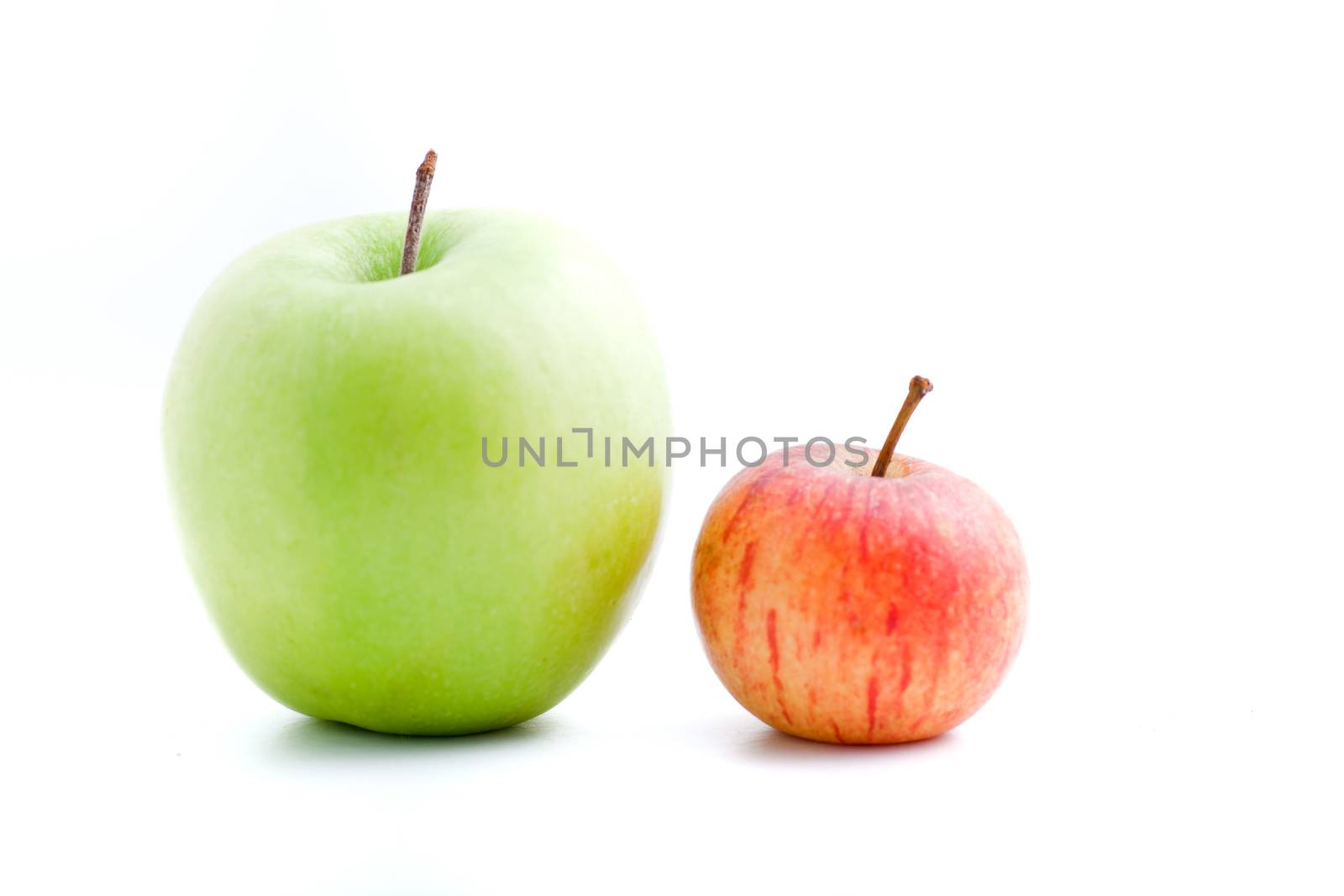 Apple varieties with a large fresh green apple and small red apple standing side by side on a white background with copyspace
