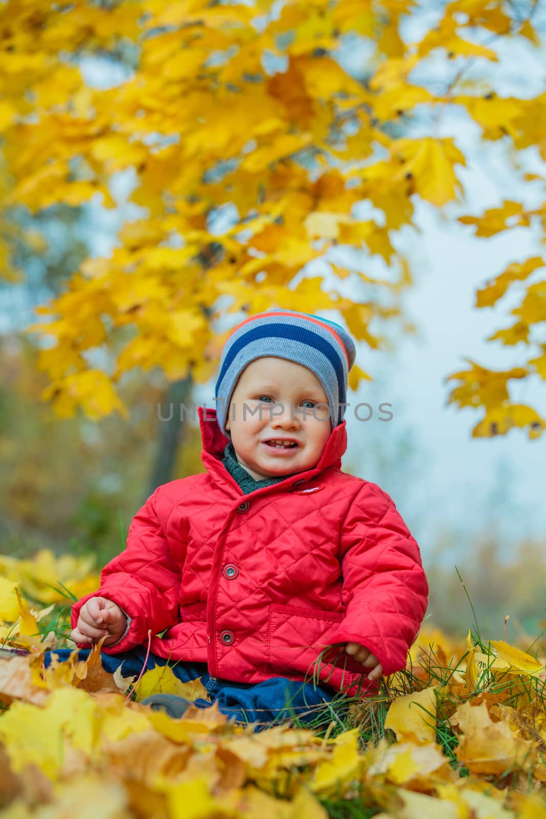 Cute baby boy sitting on the yellow leaves in the autumn park