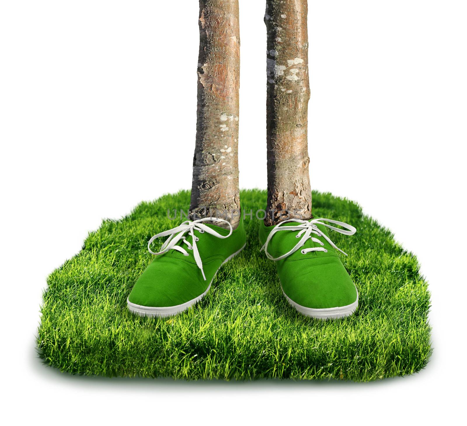 Green carbon footprint environmental concept, shoes with trees isolated