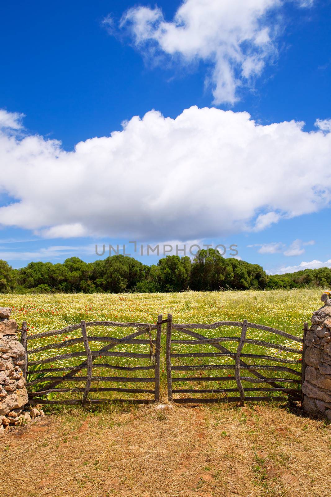 Menorca traditional wooden gate in spring at Balearic by lunamarina