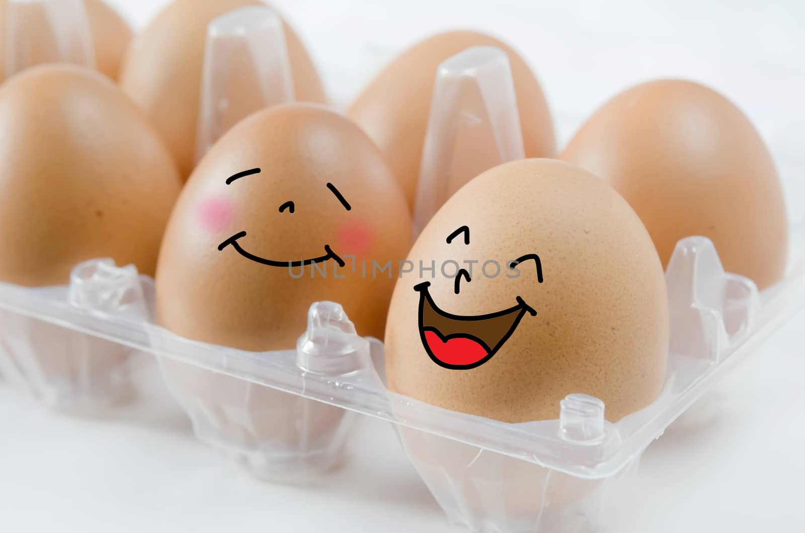 happy  brown egg in  the package on white background
