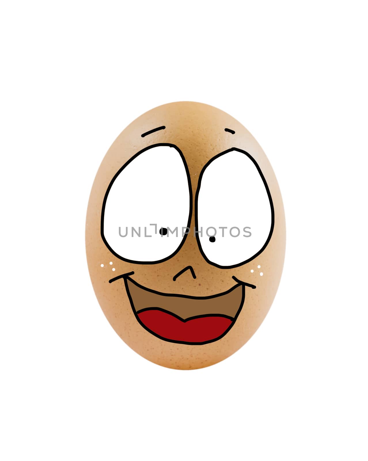 one  brown egg with face on white background .