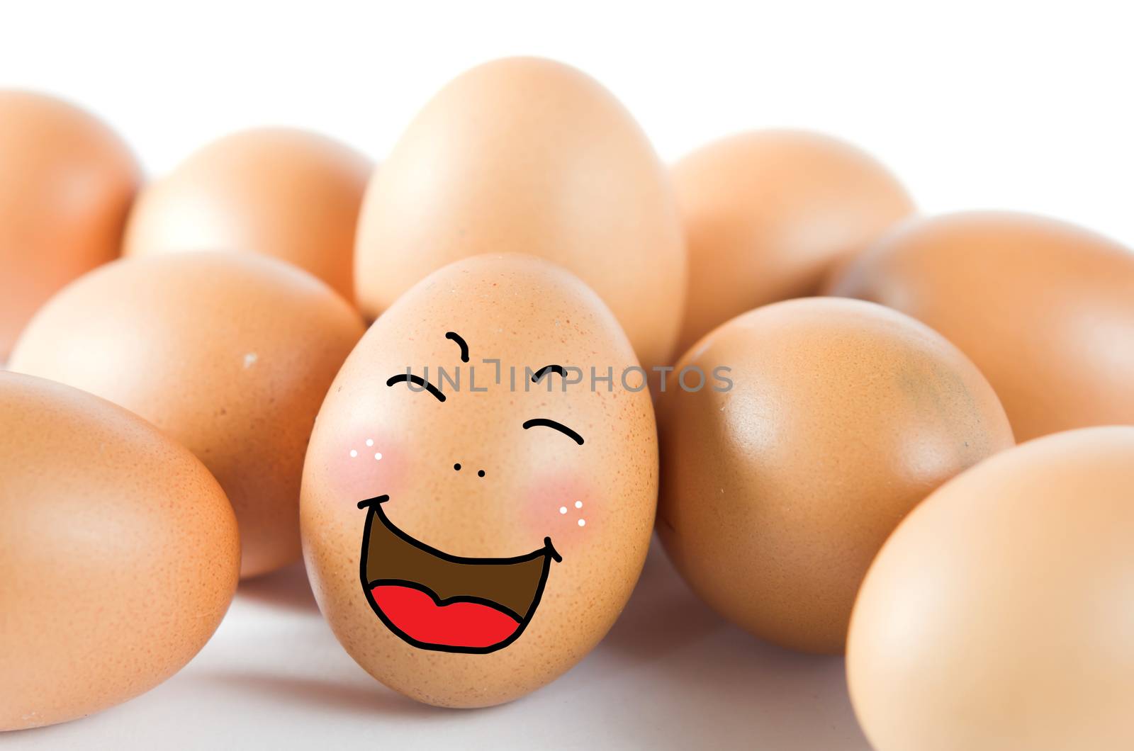 happy  brown egg with many friend ( chicken eggs )