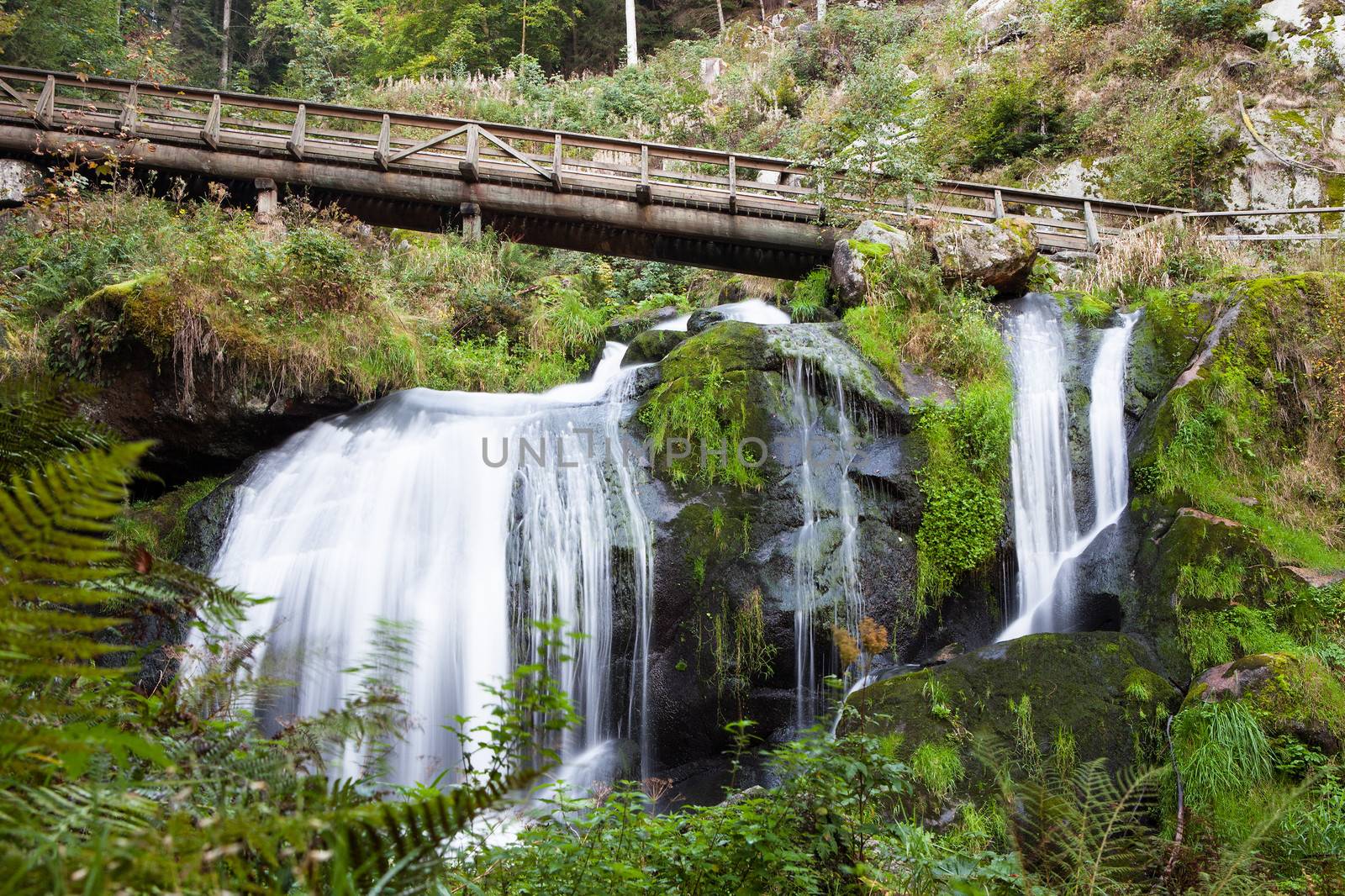 Triberg Waterfalls by AndreyPopov