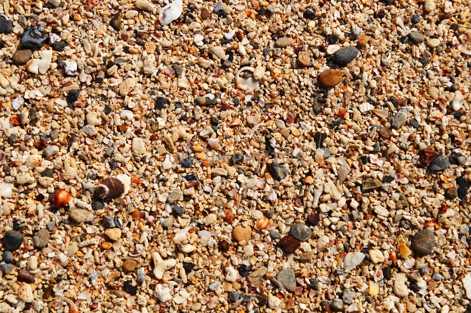 abstract natural texture. Pebble. shingle. Good natural background