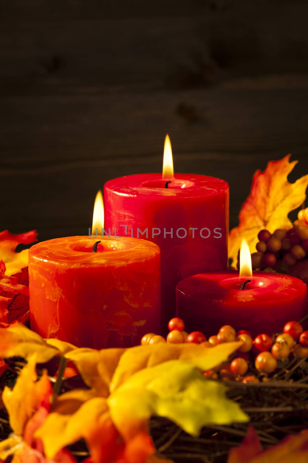 Autumn candles by 3523Studio