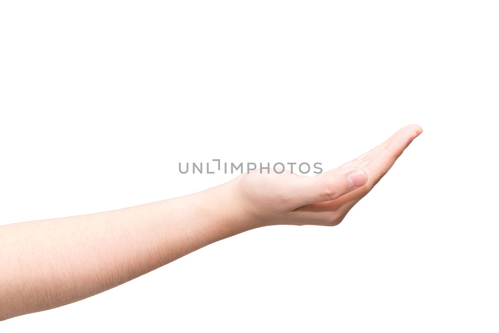 Human hand with open palm ready to recieve on light gray background