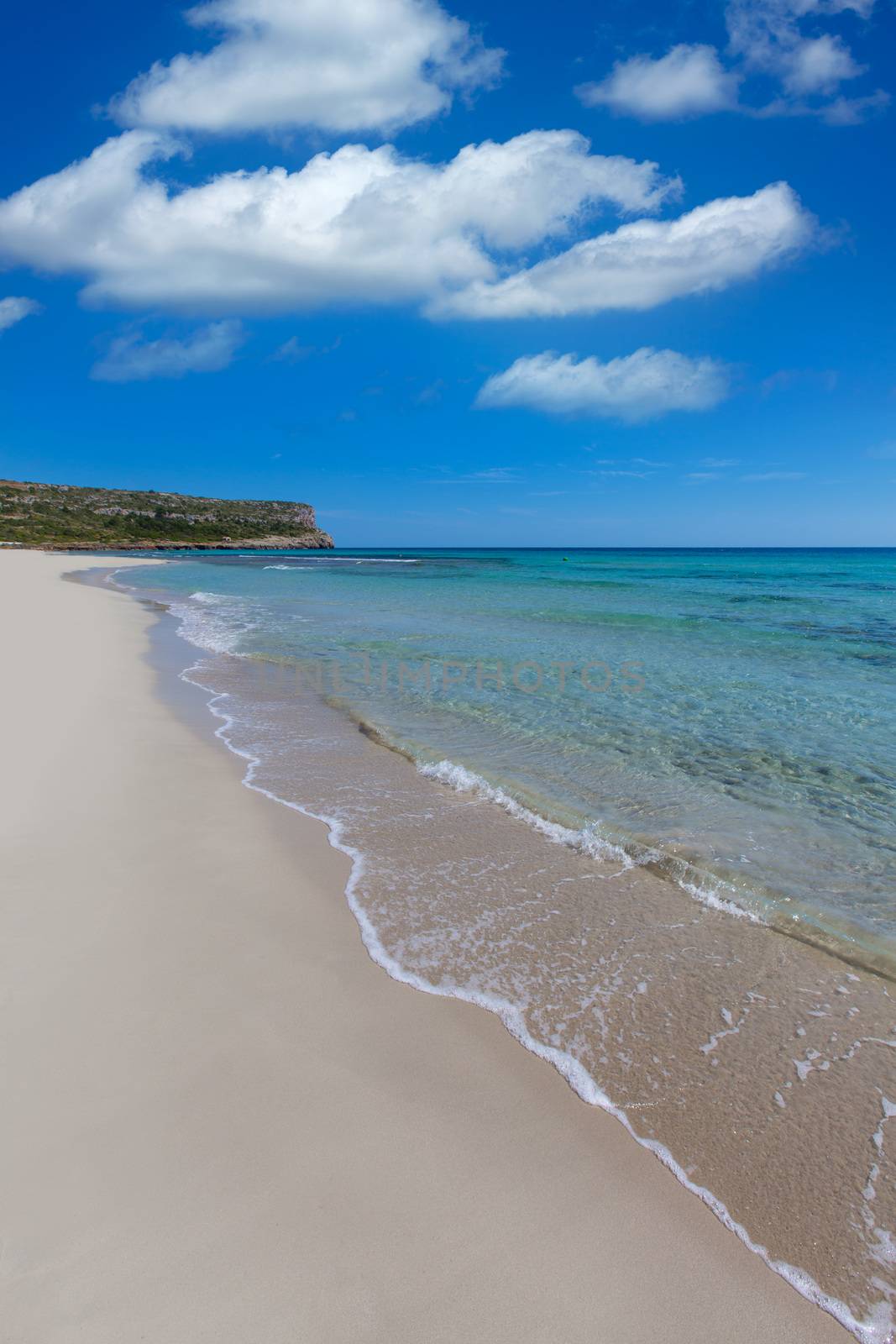 Alaior Cala Son Bou in Menorca turquoise beach at Balearic islands