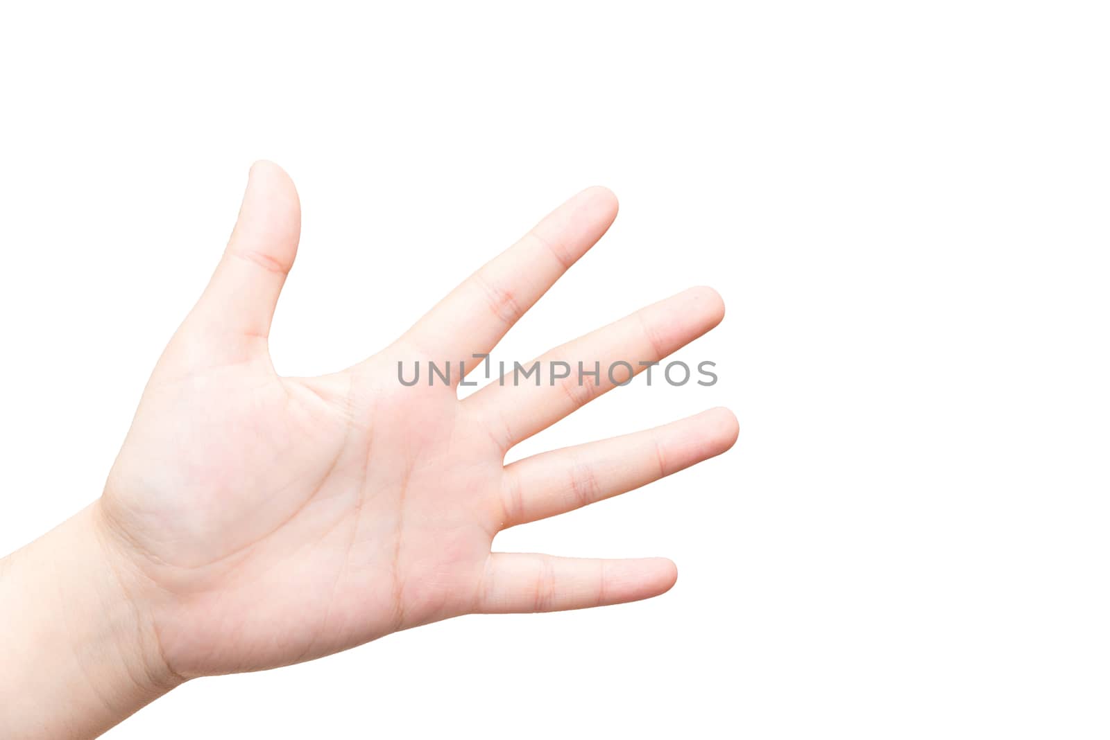 Hand with open palm by IVYPHOTOS