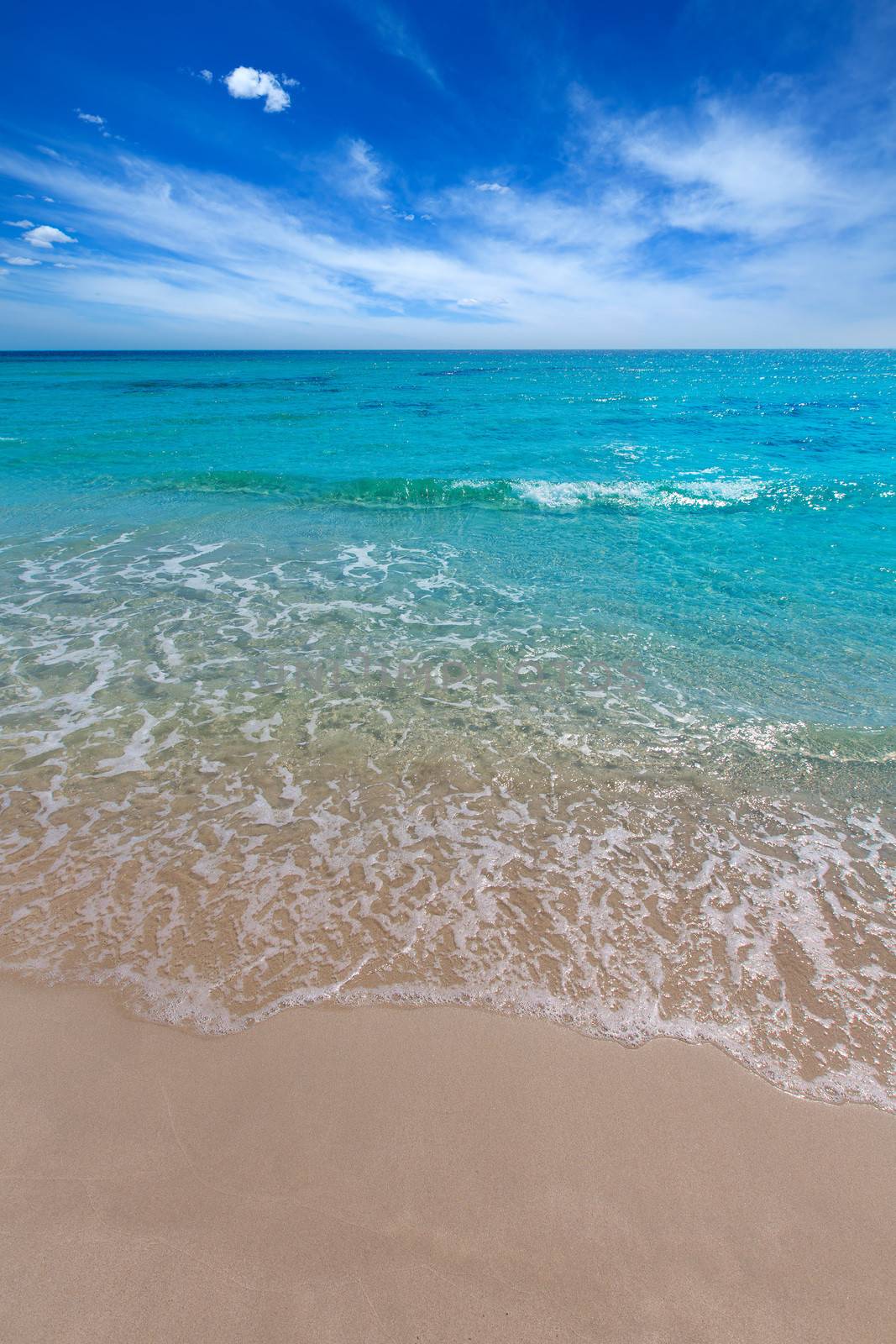 Alaior Cala Son Bou in Menorca turquoise beach at Balearic islands